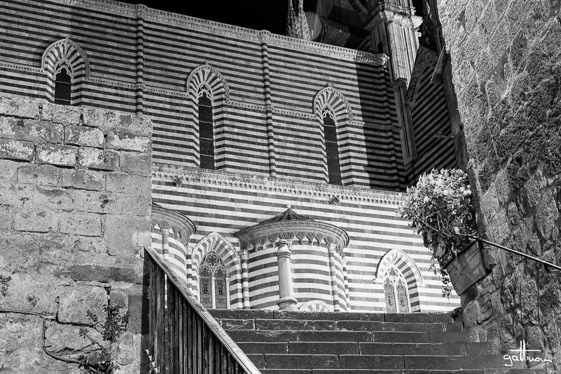 Cathedral of Orvieto, particularly