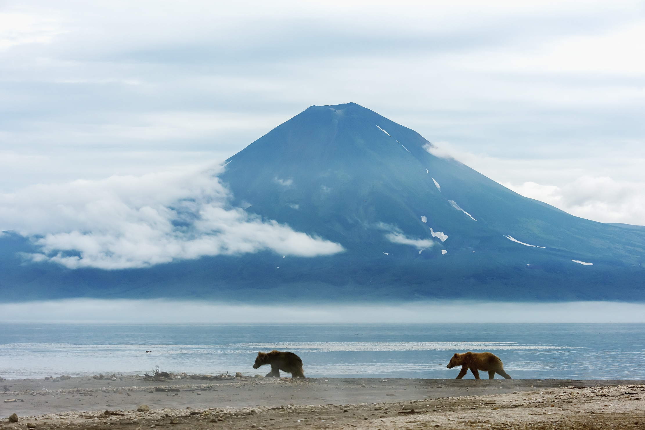 Kamchatka 2016 - Con il vulcano come sfondo