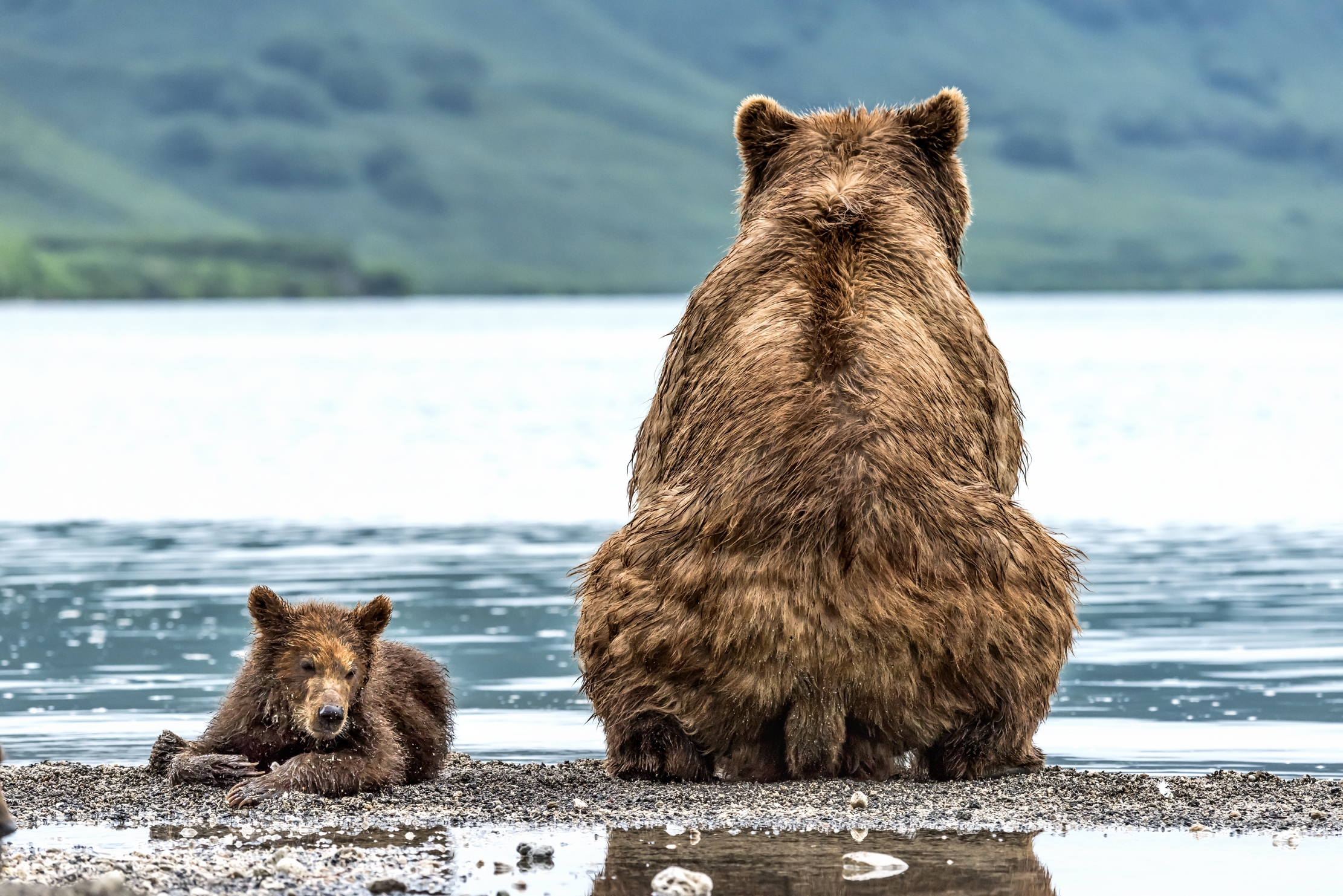 Kamchatka 2016 - Senza parole...