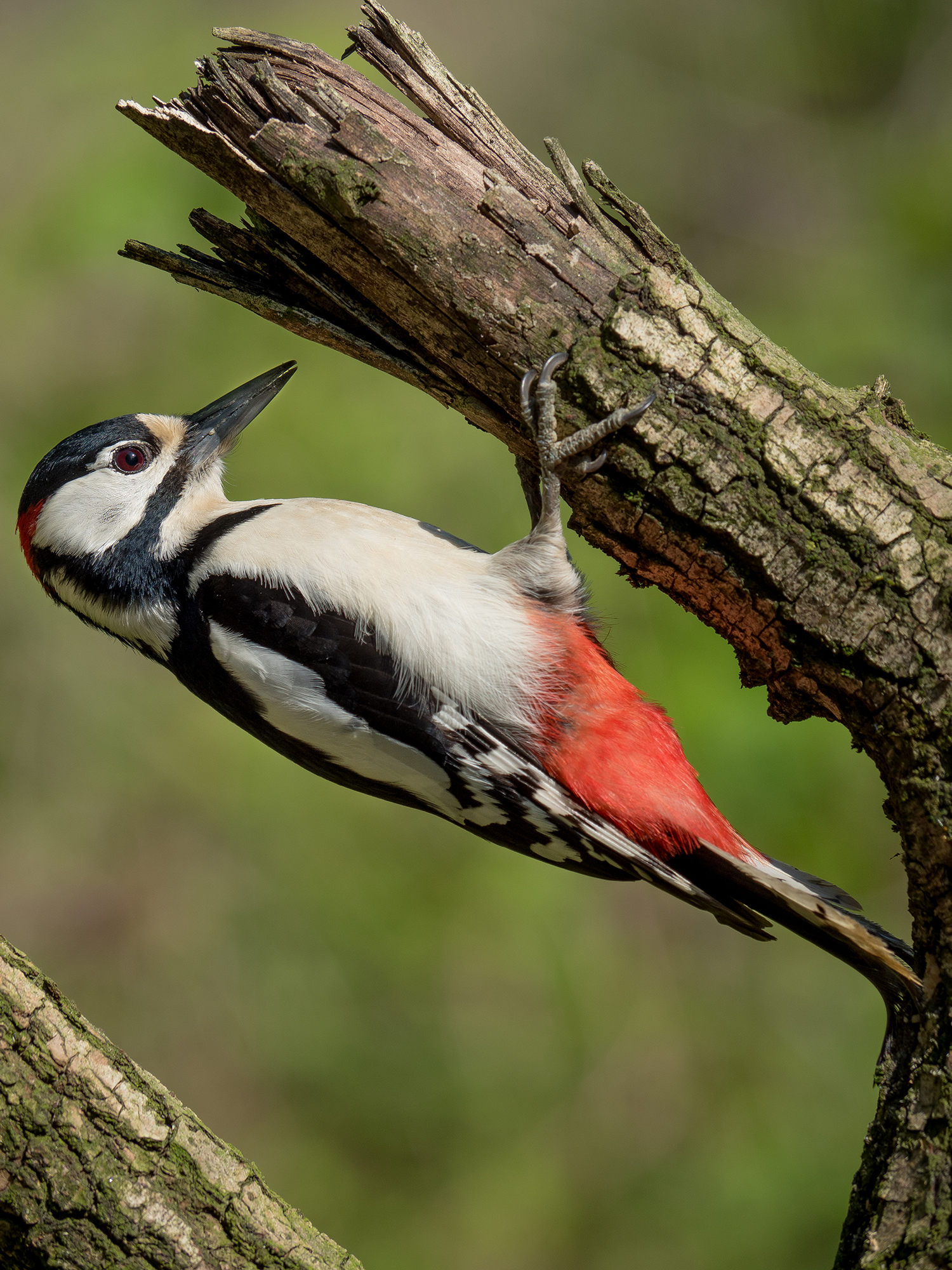 This is not the 'I broke myself.