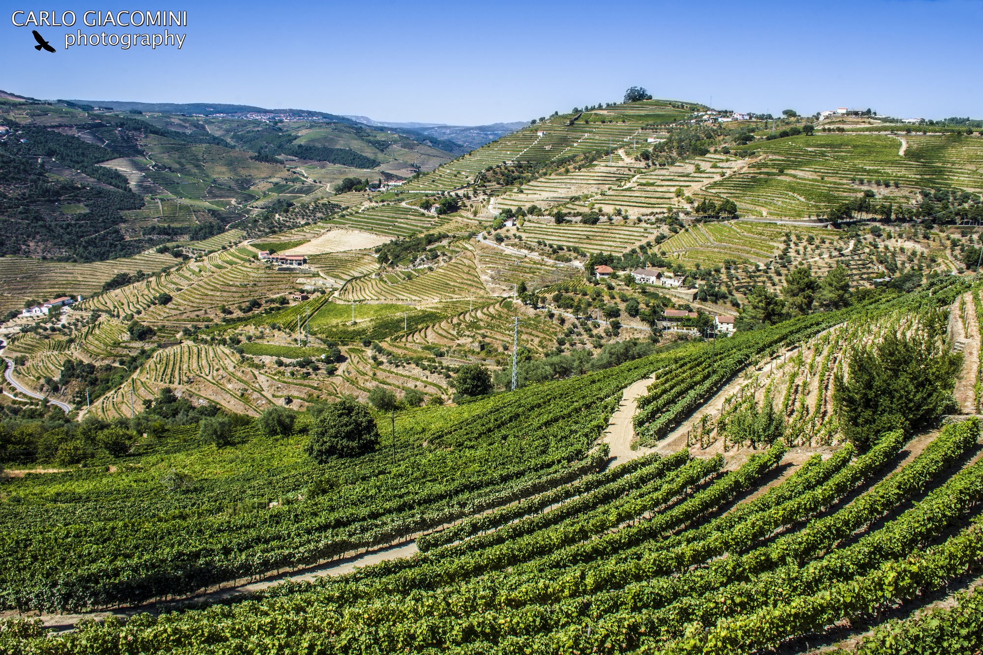 Valle del Douro