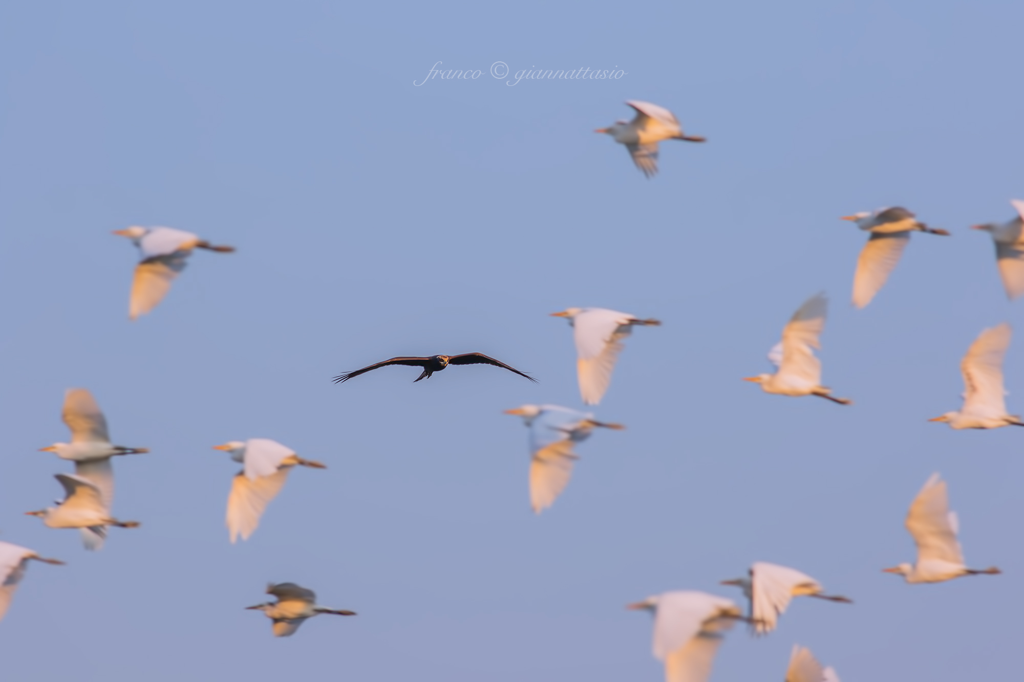 Then you came ...........: o)