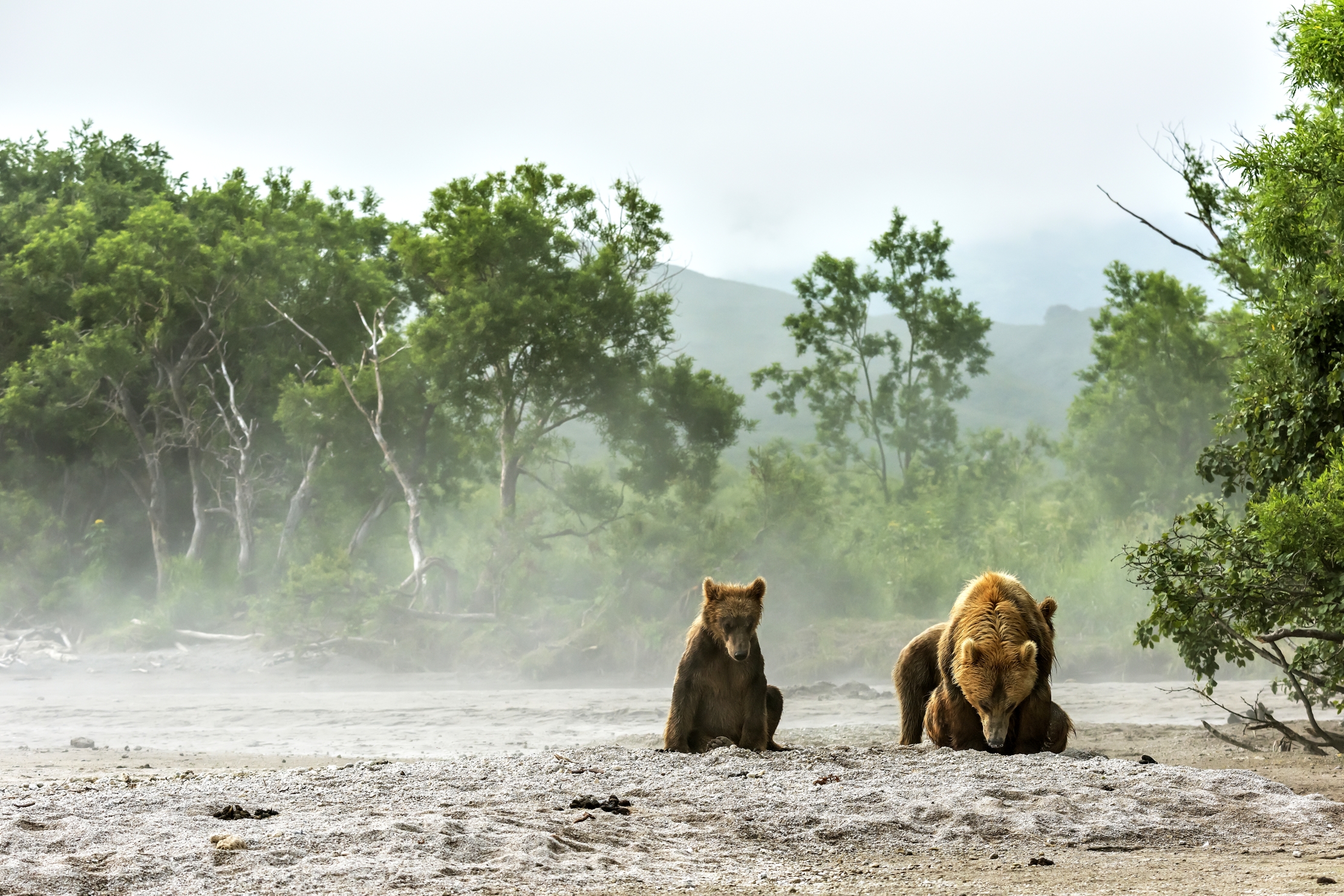 Kamchatka 2016 - Atmosfere mattutine