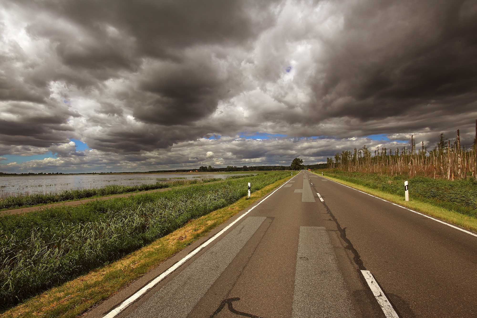 marshes and storm
