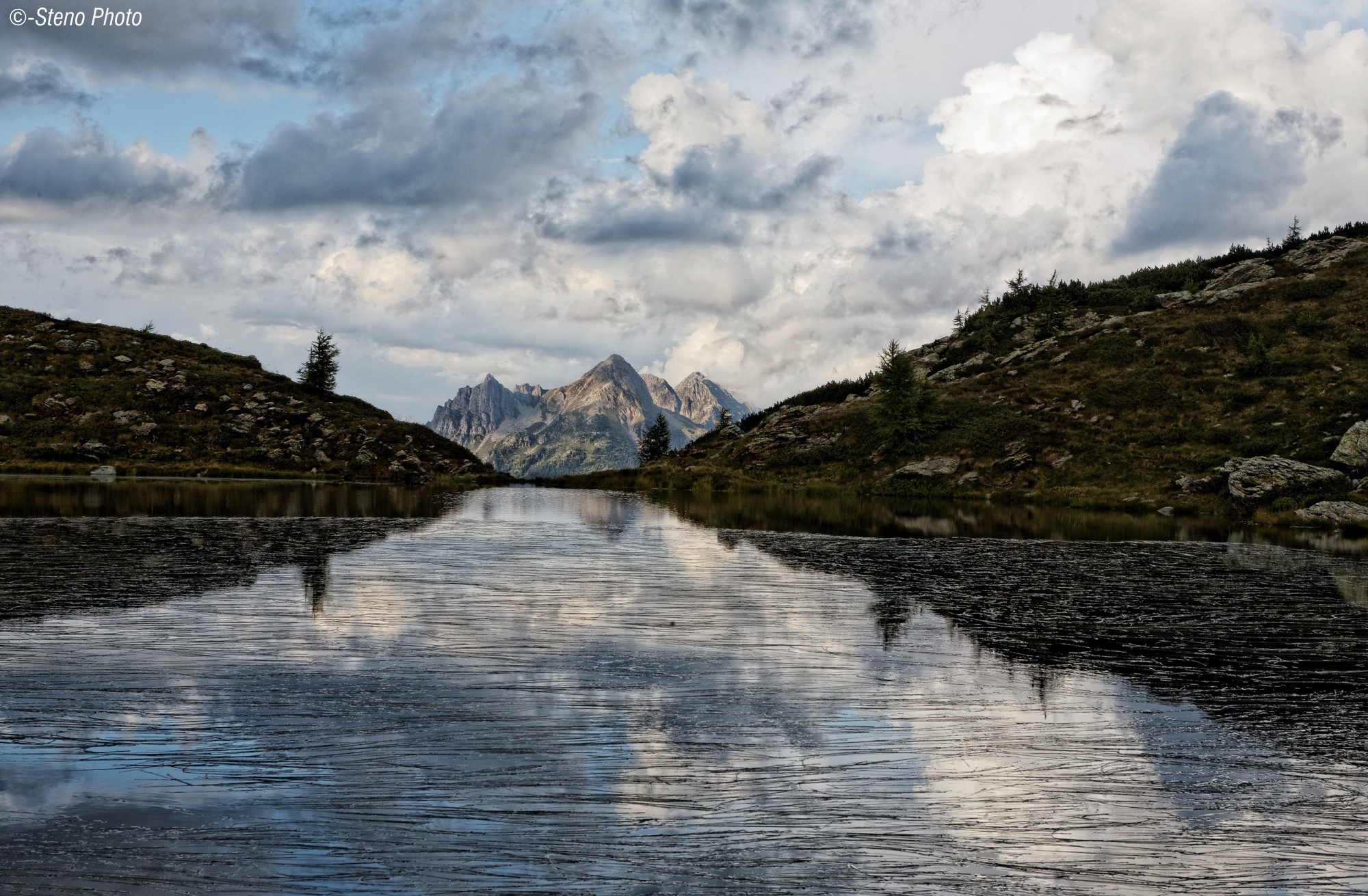 Cauriol seen by Lasteati