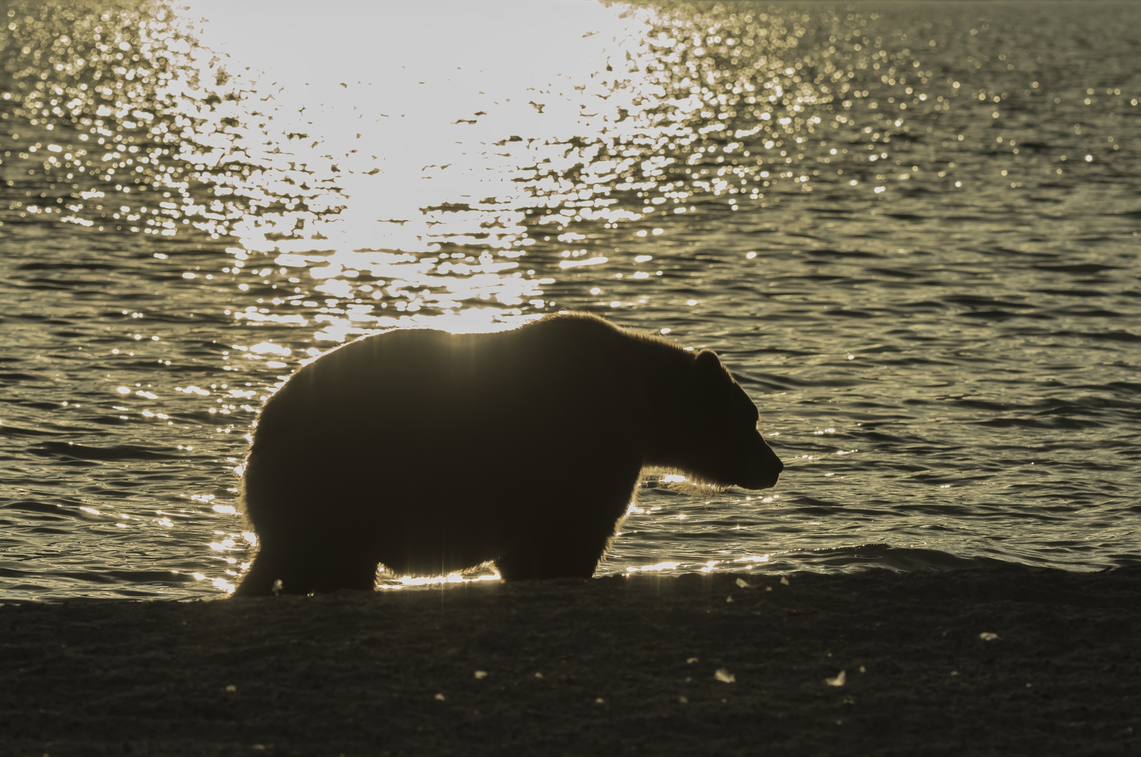 Kamchatka 2016 - Tramonto
