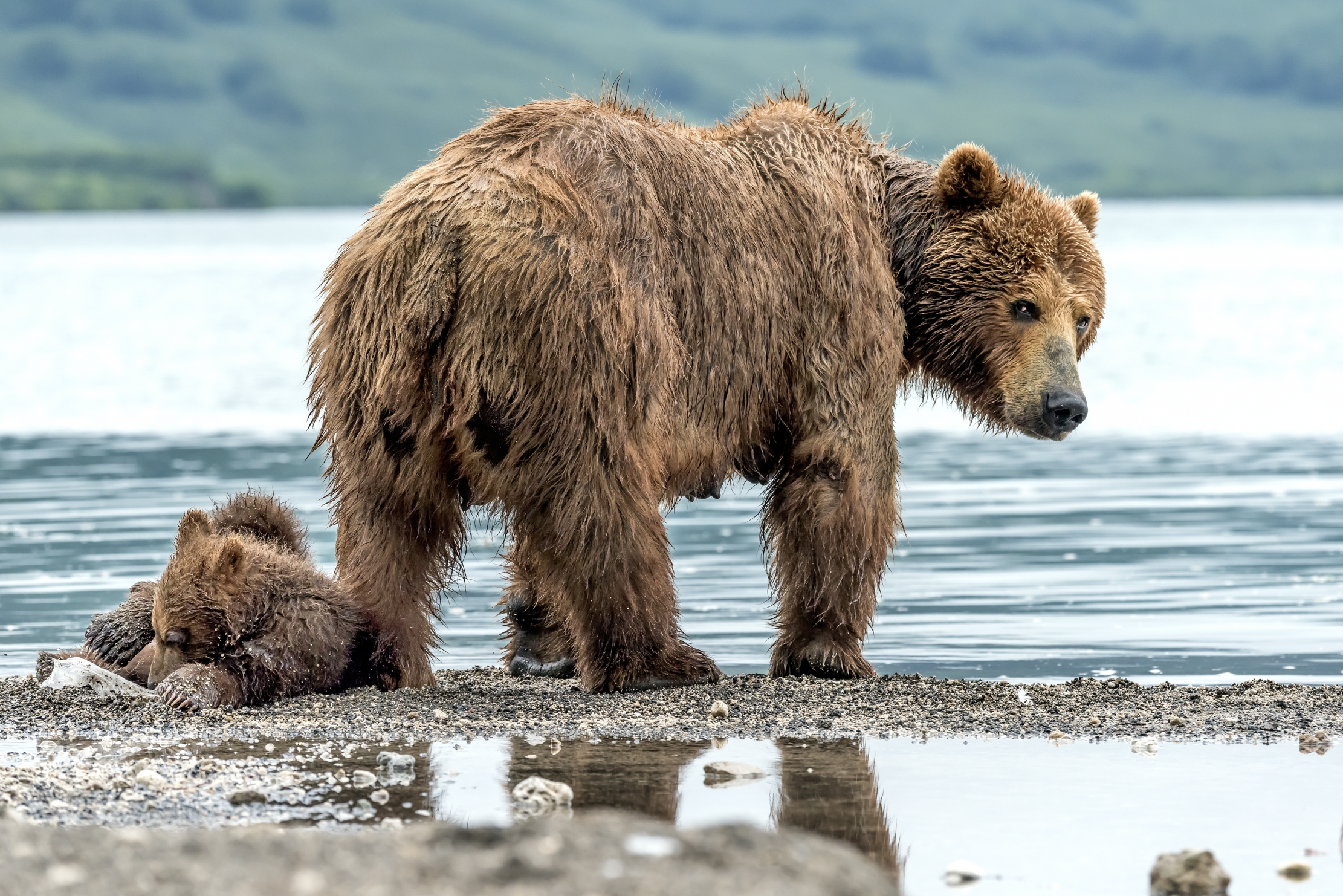 Kamchatka 2016 - ????