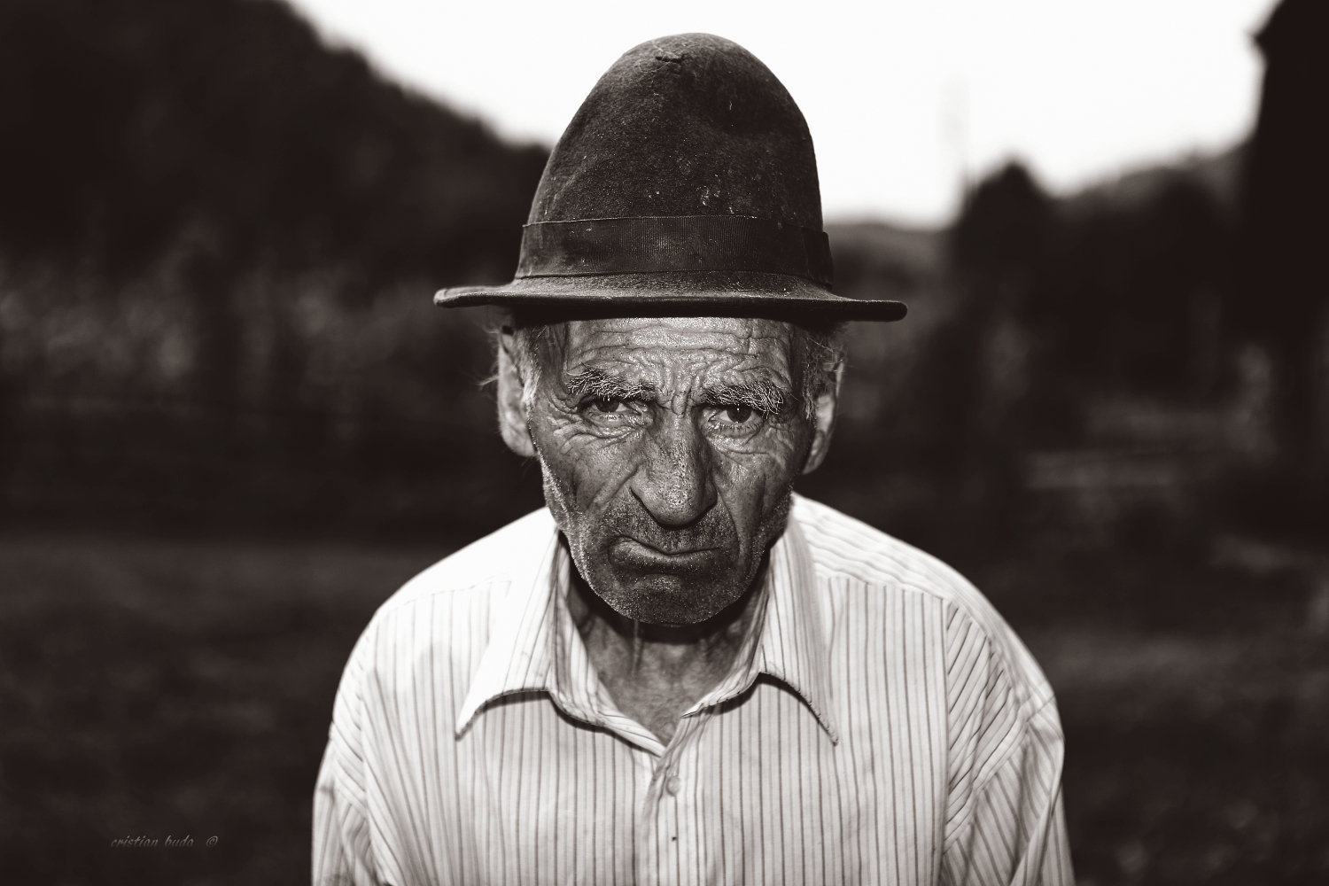 The story of a lifetime ...