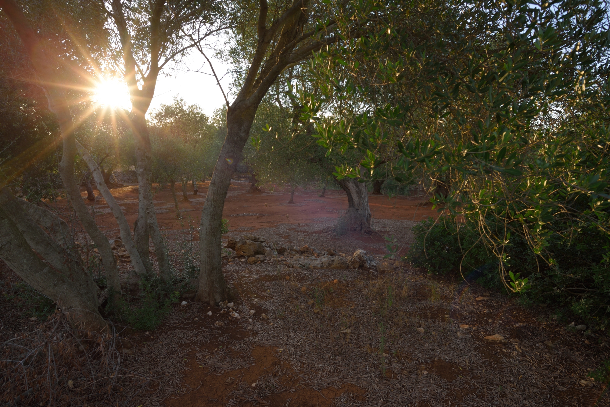 The sun gave me a kiss tonight