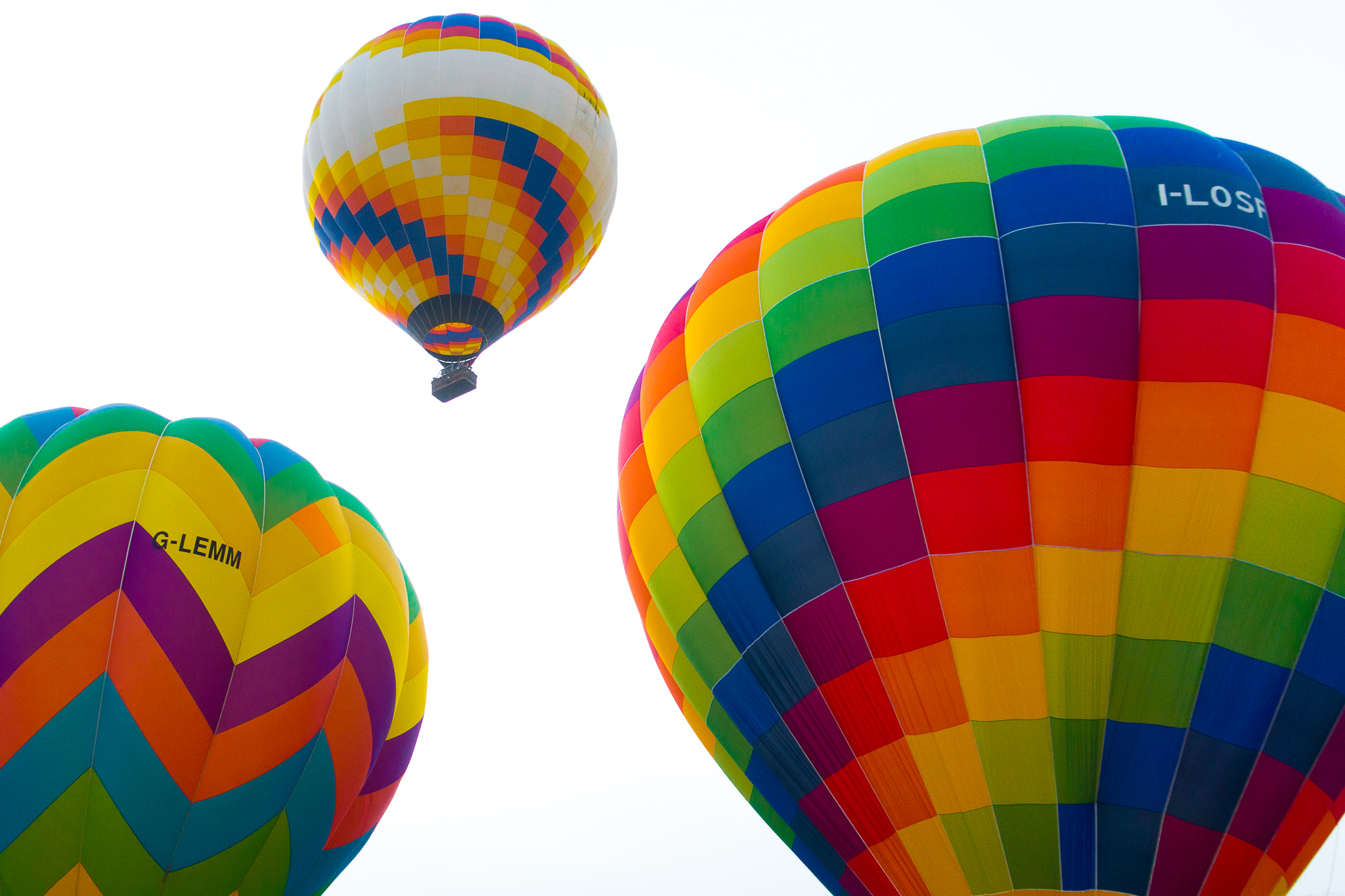 Festival of Balloons