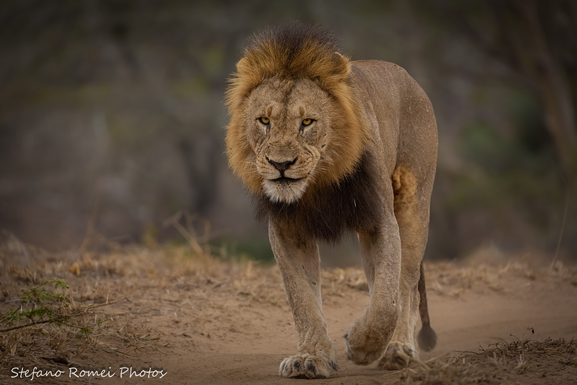 Steff you were wrong!