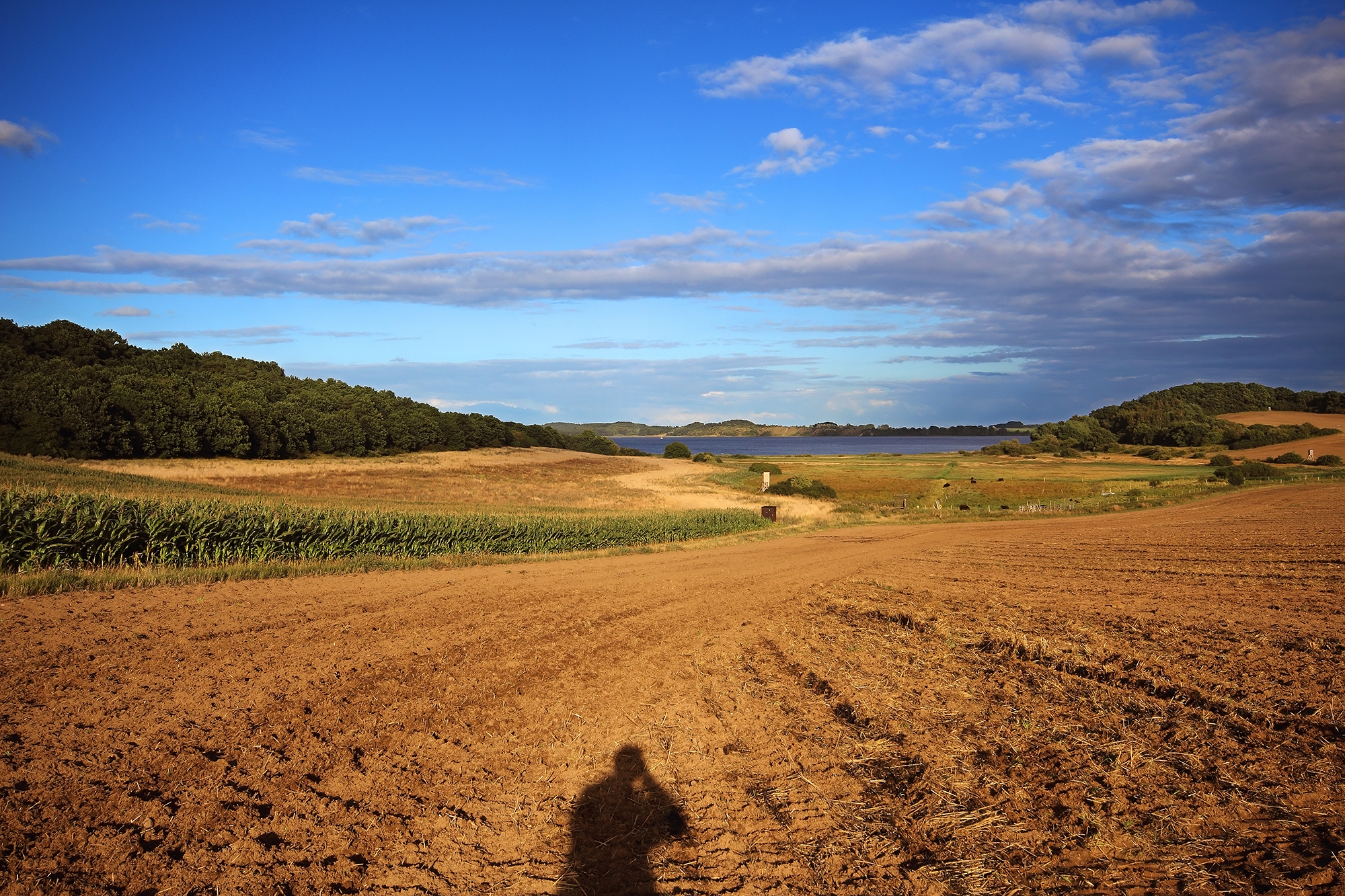 The sunset behind my house in Insel Rugen