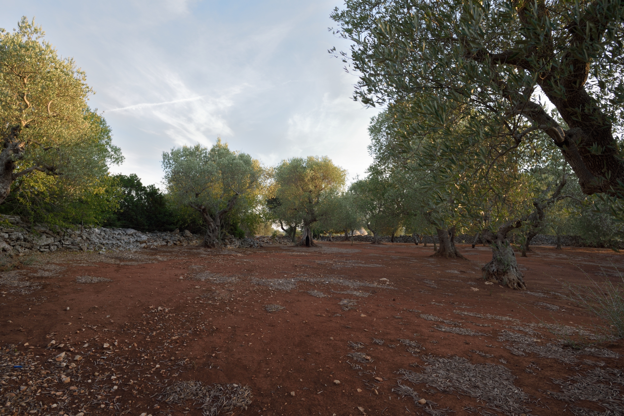 An immersion in nature