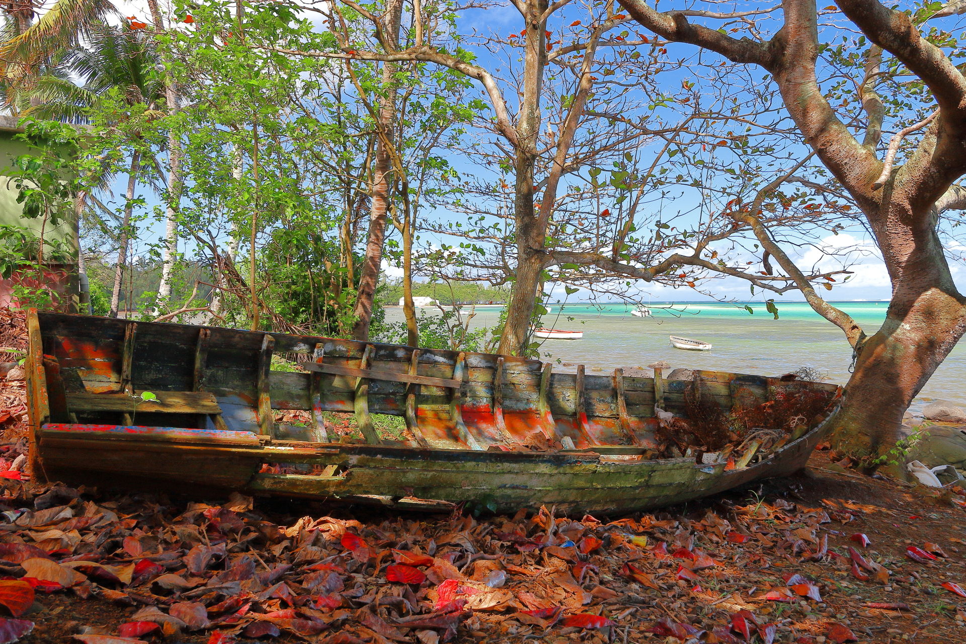 The ancient and noble art of fishing