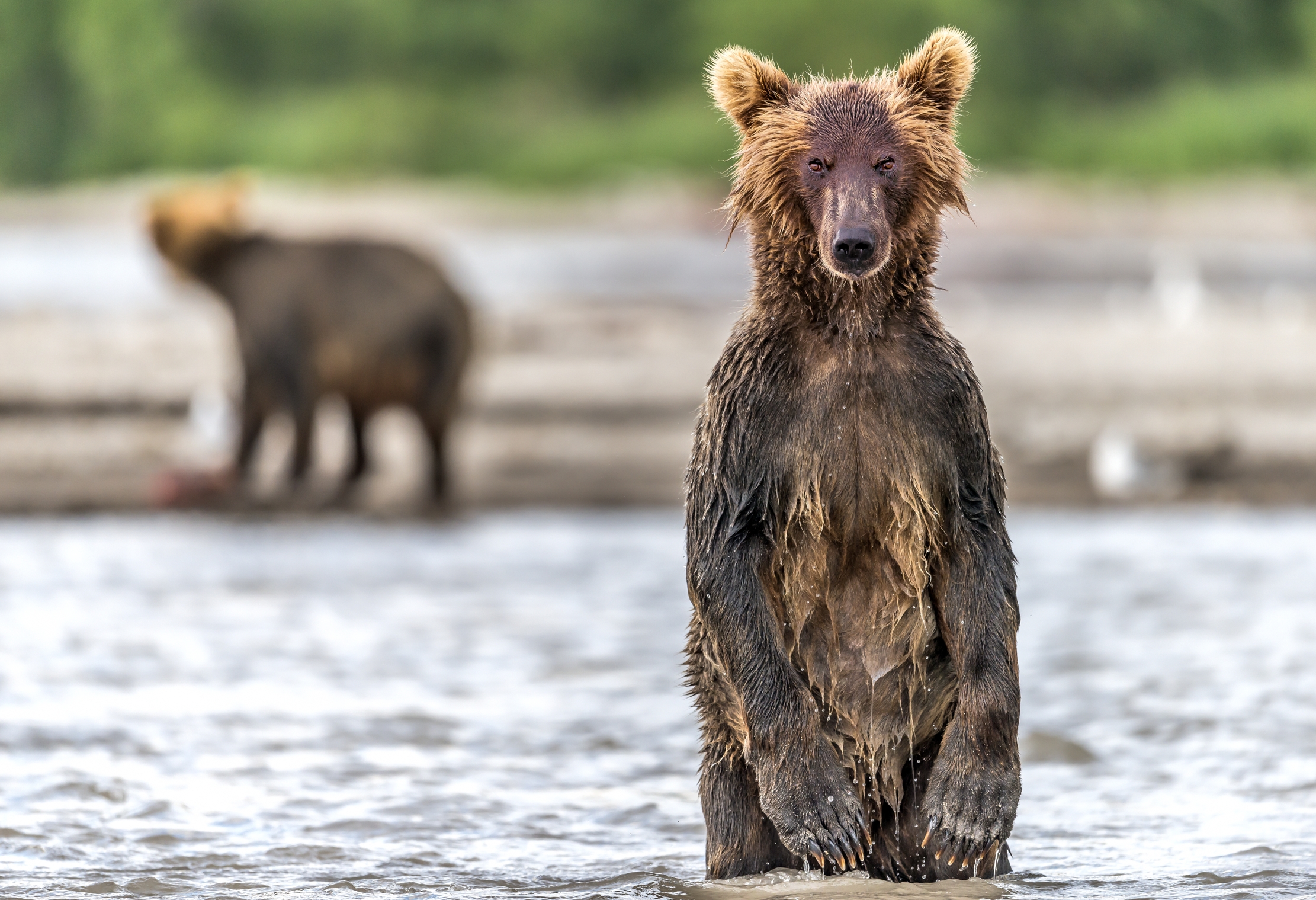 Kamchatka 2016 - ???