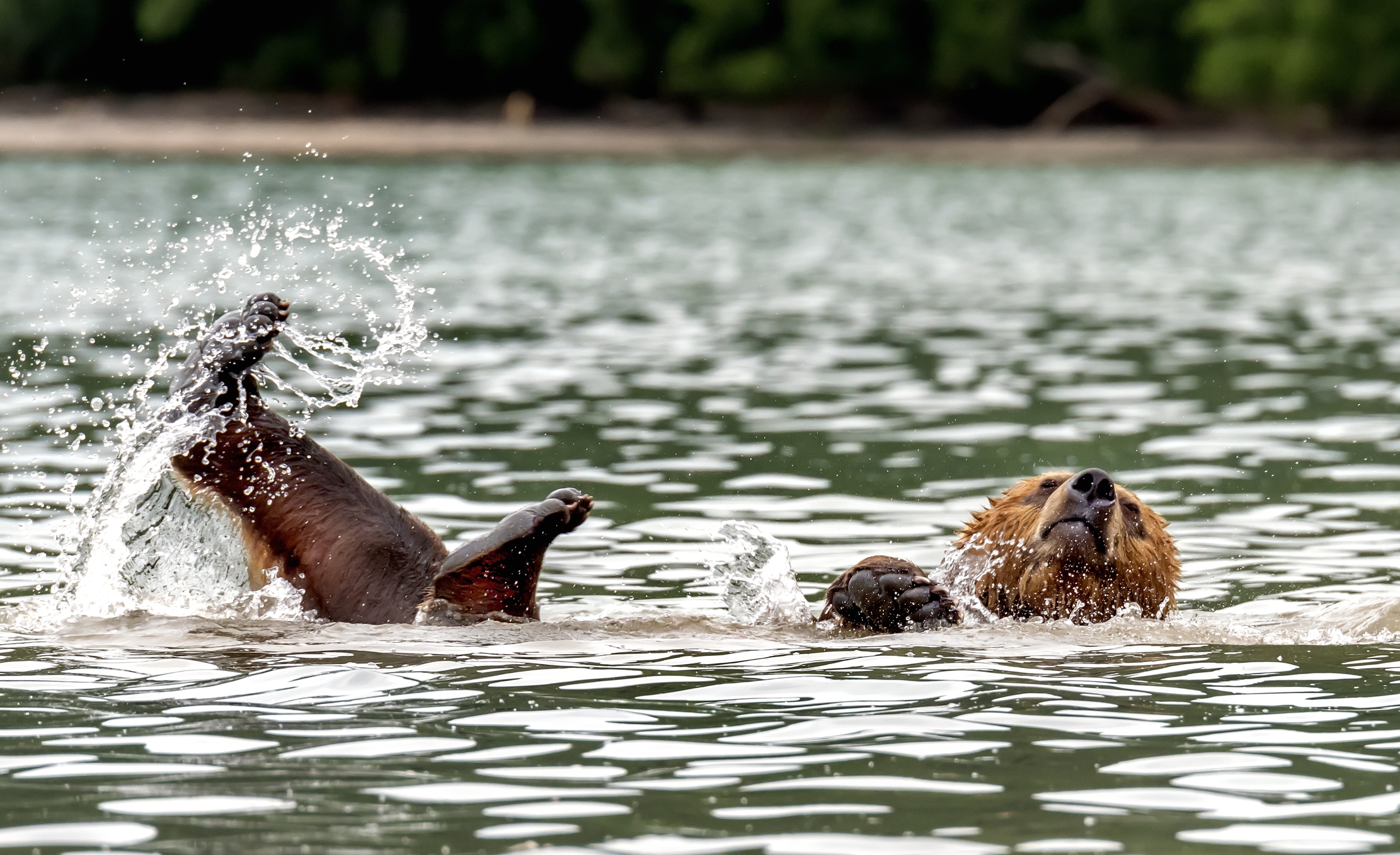 Kamchatka 2016 - Bagnetto