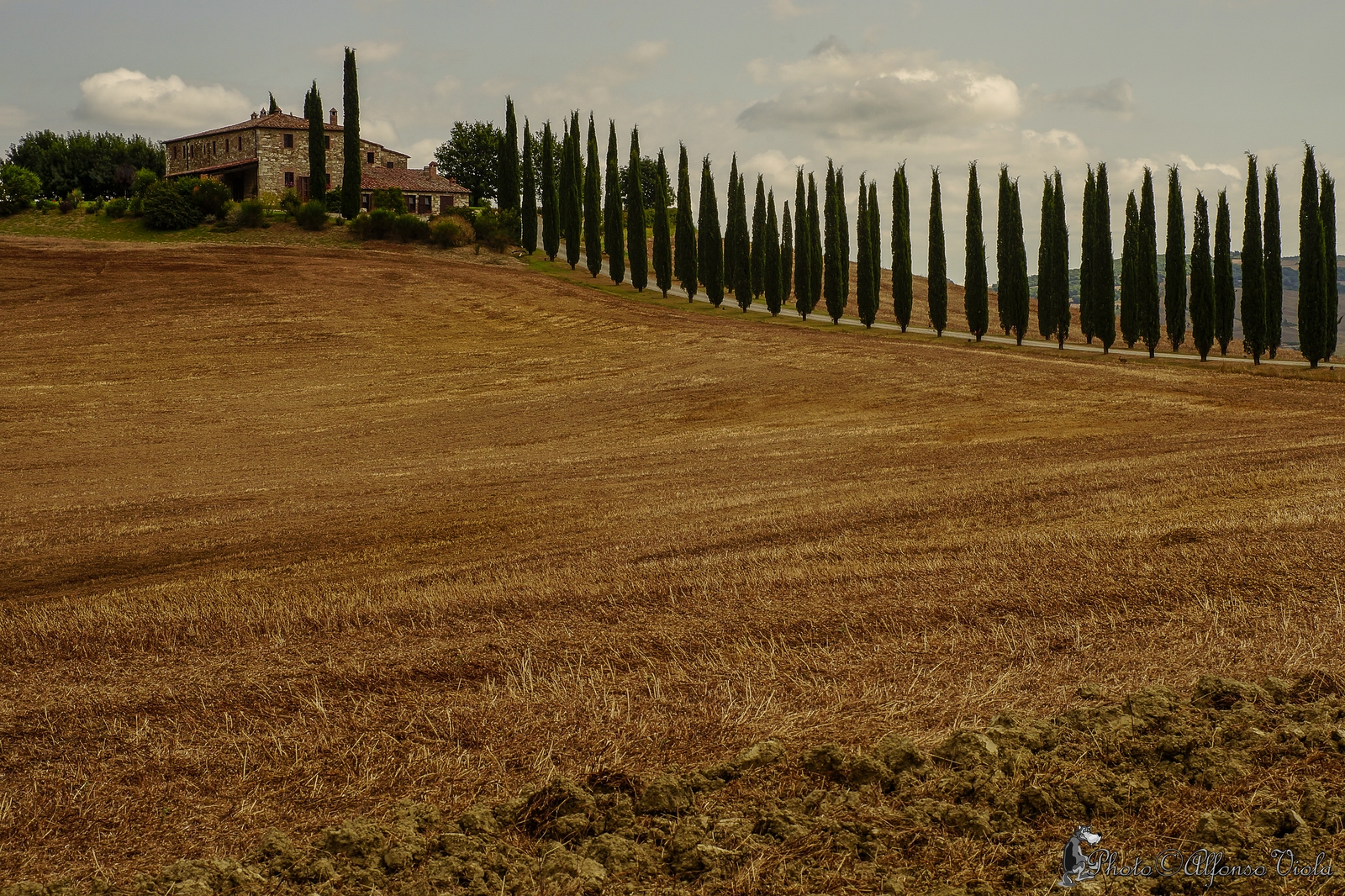 Val d'Orcia hill Covilli