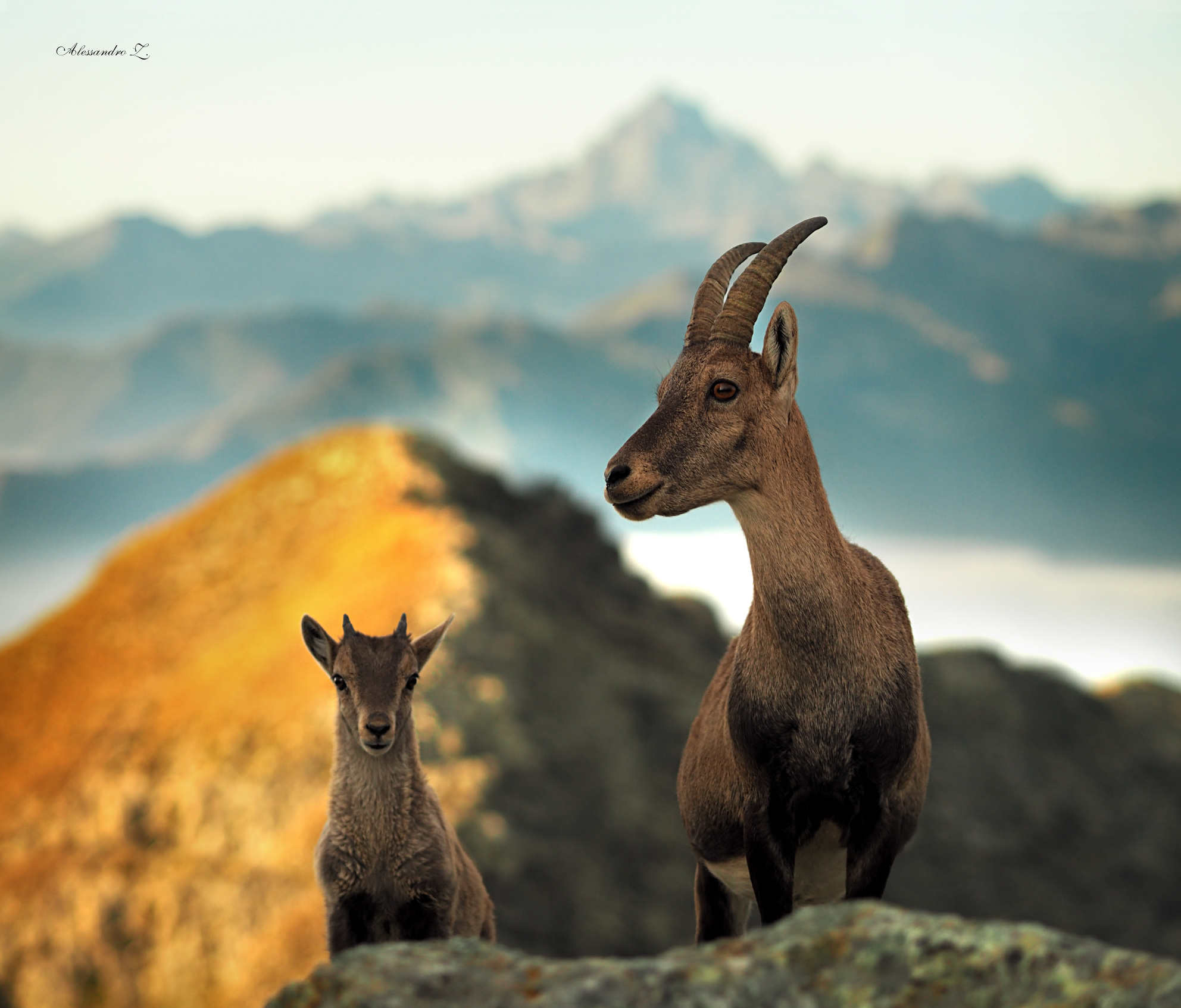 Mamma, quel signore secondo me ce l'ha con noi!