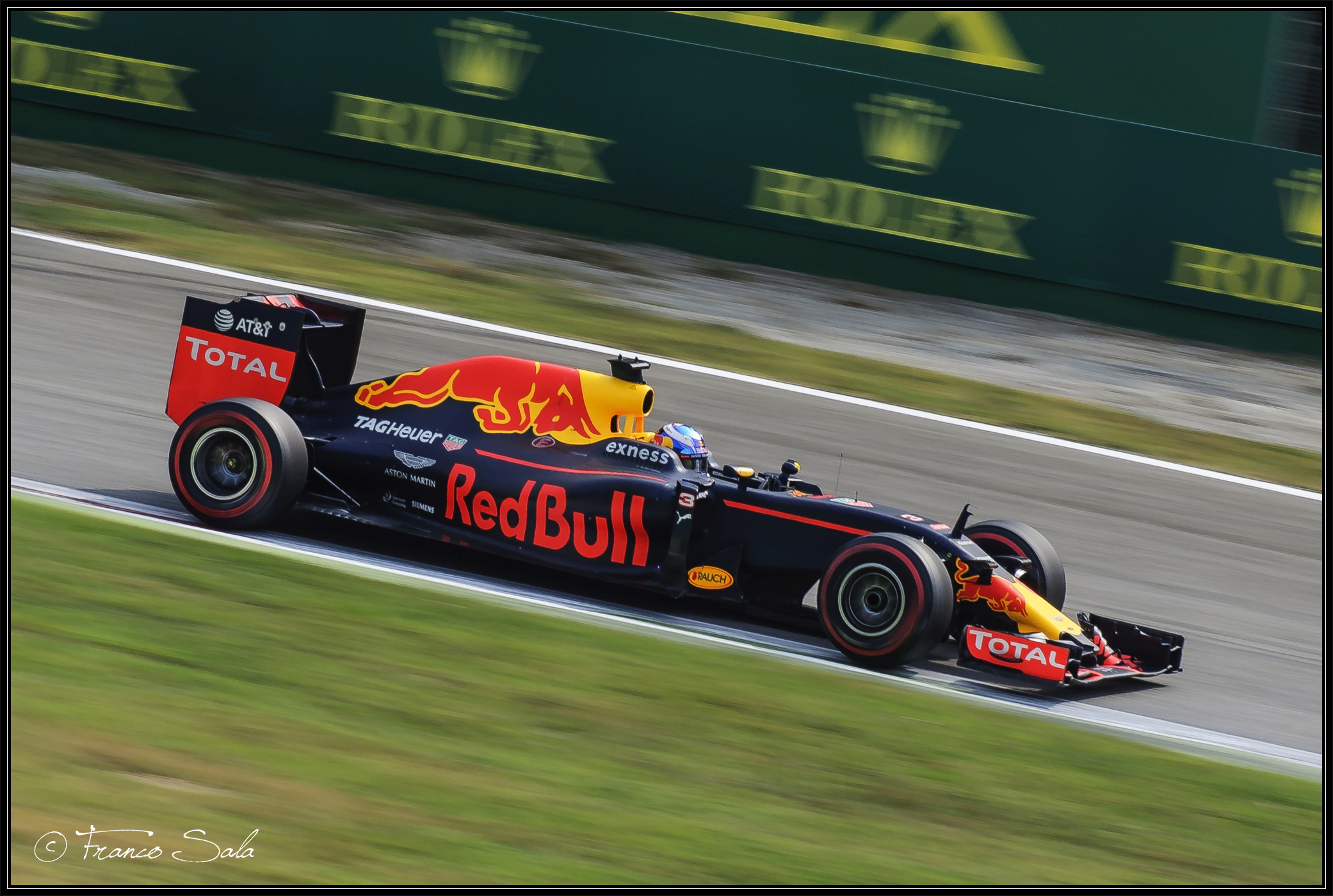 The cute kangaroo - Monza GP 2016