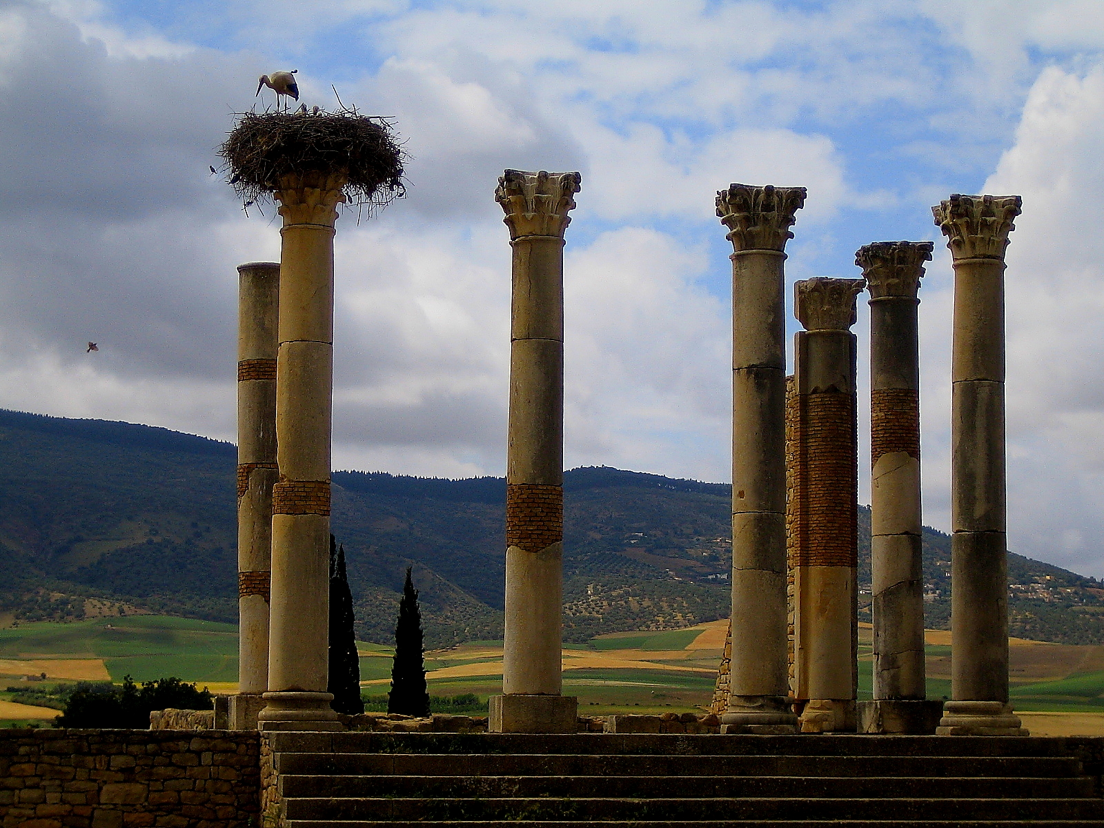 volubilis