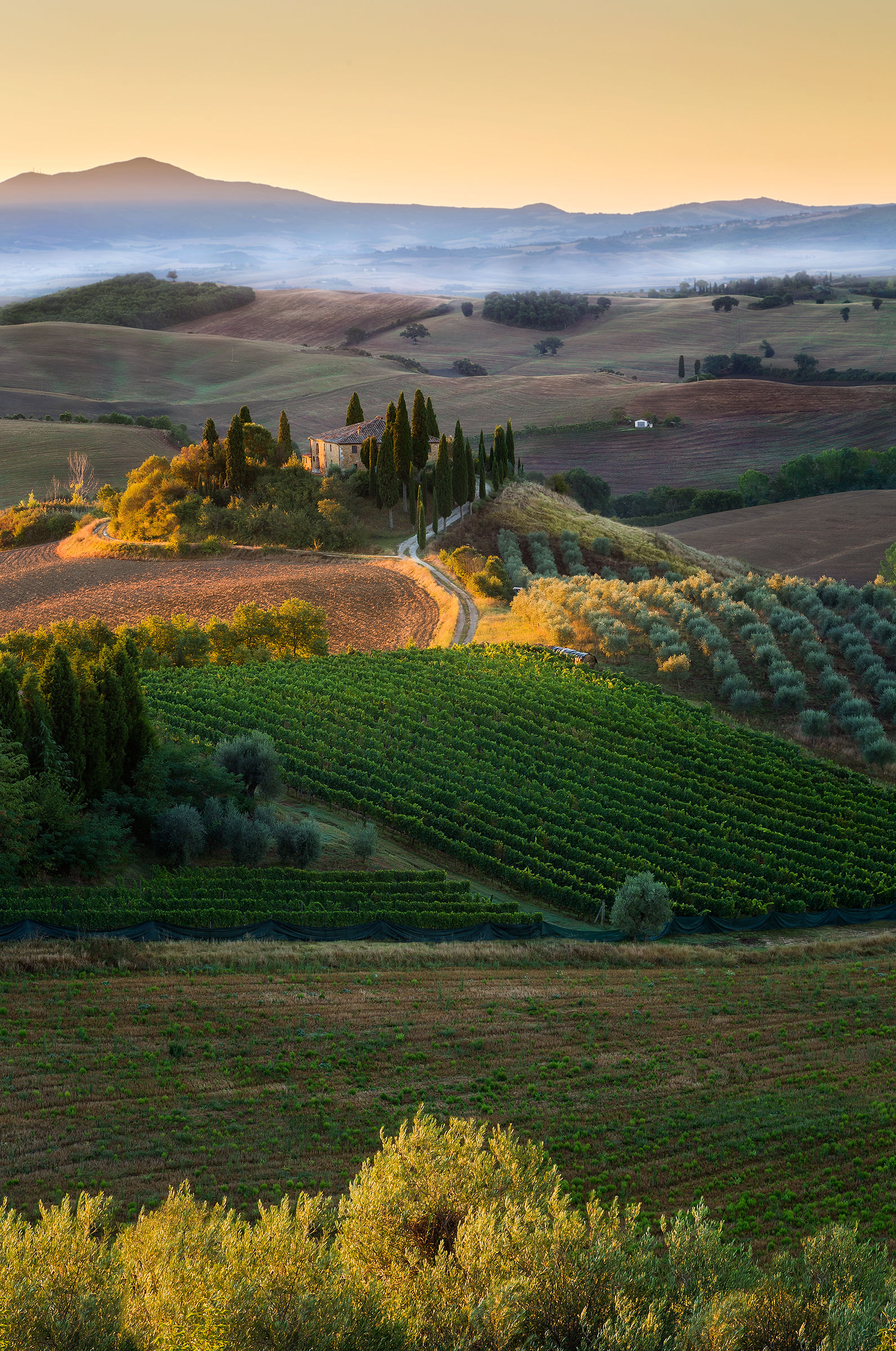 Sunrise in Val d'Orcia