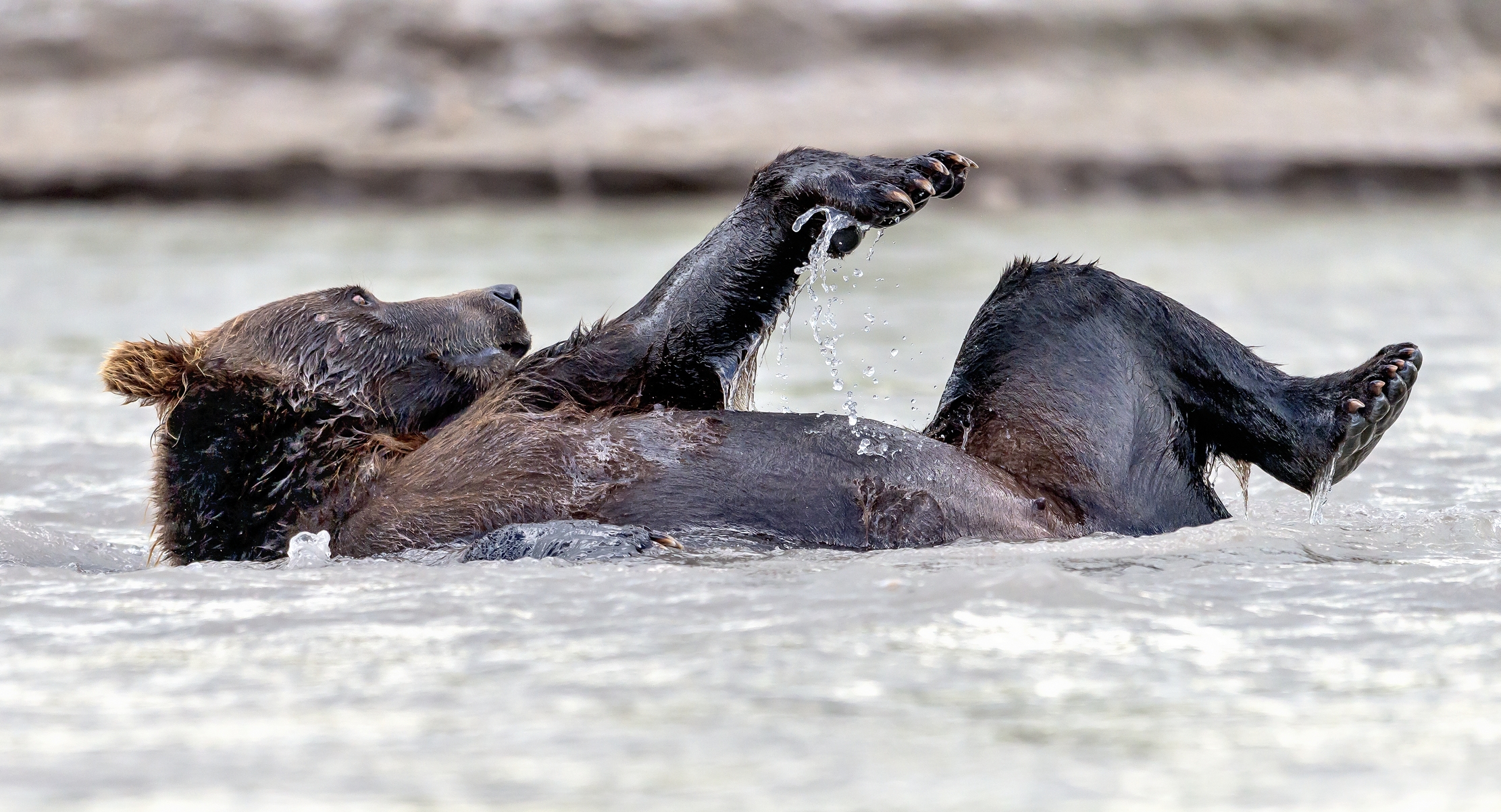 Kamchatka 2016 - Bagnetto
