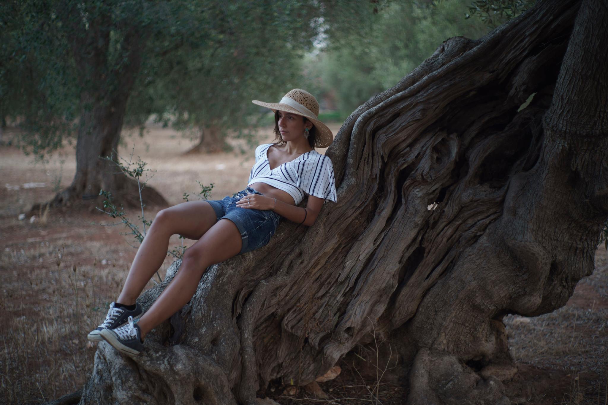 Aurora tra gli ulivi 2