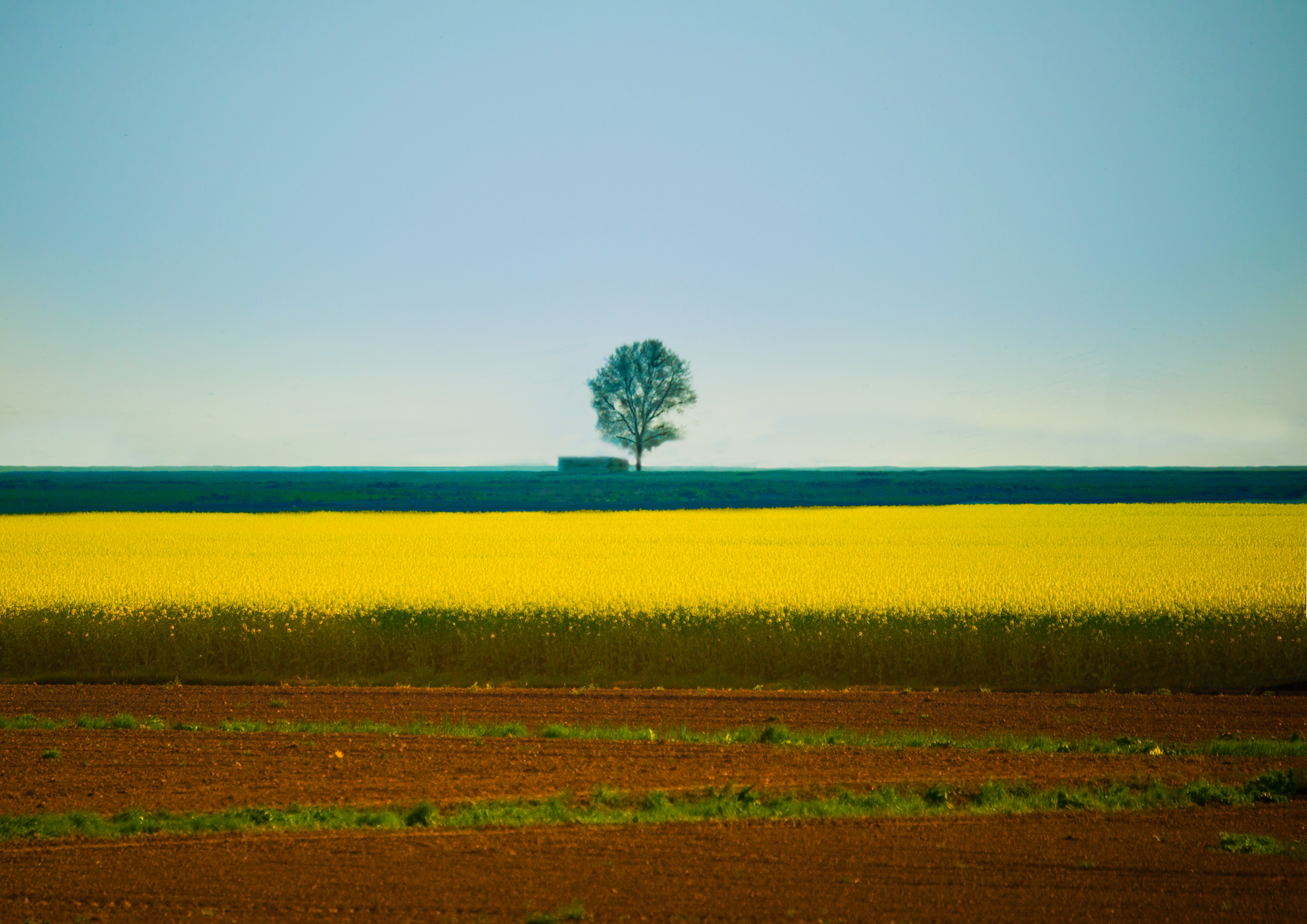 campagna in luglio