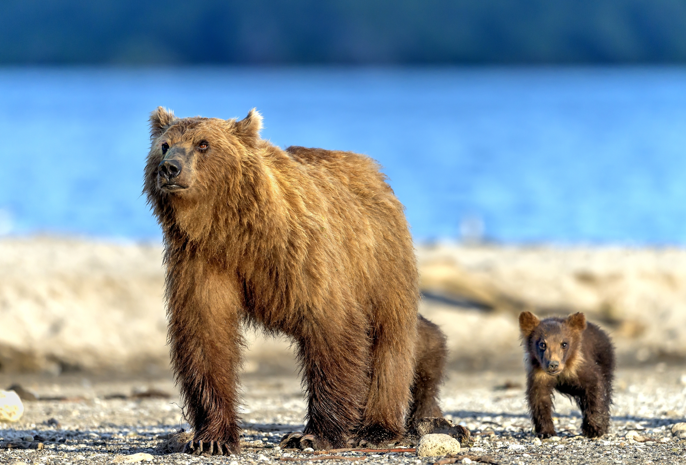 Kamchatka 2016 - Sul lago Kurile