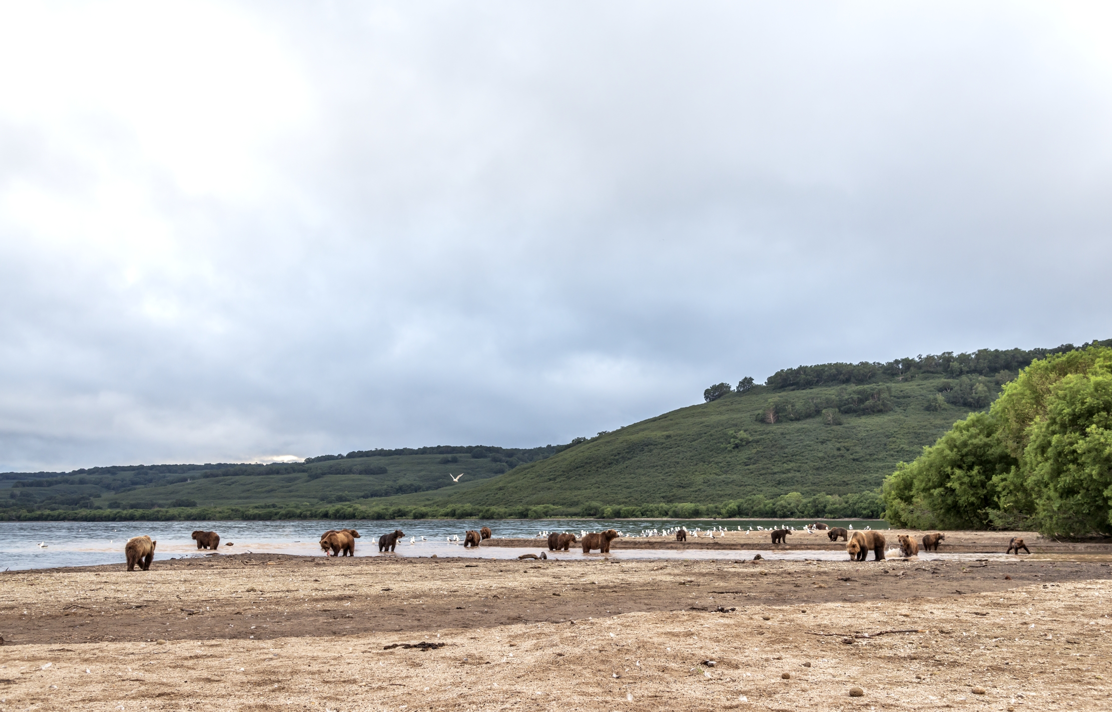 Kamchatka 2016 - Sul lago Kurile