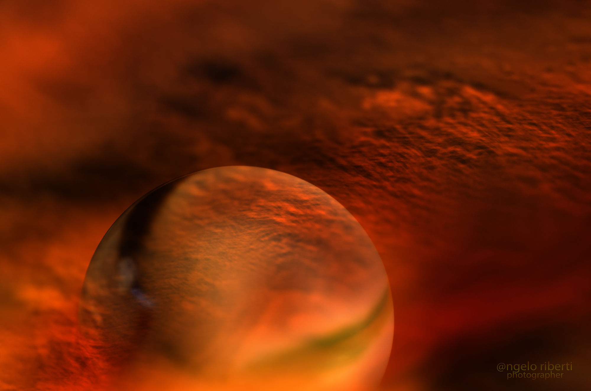 The planet that there is .....