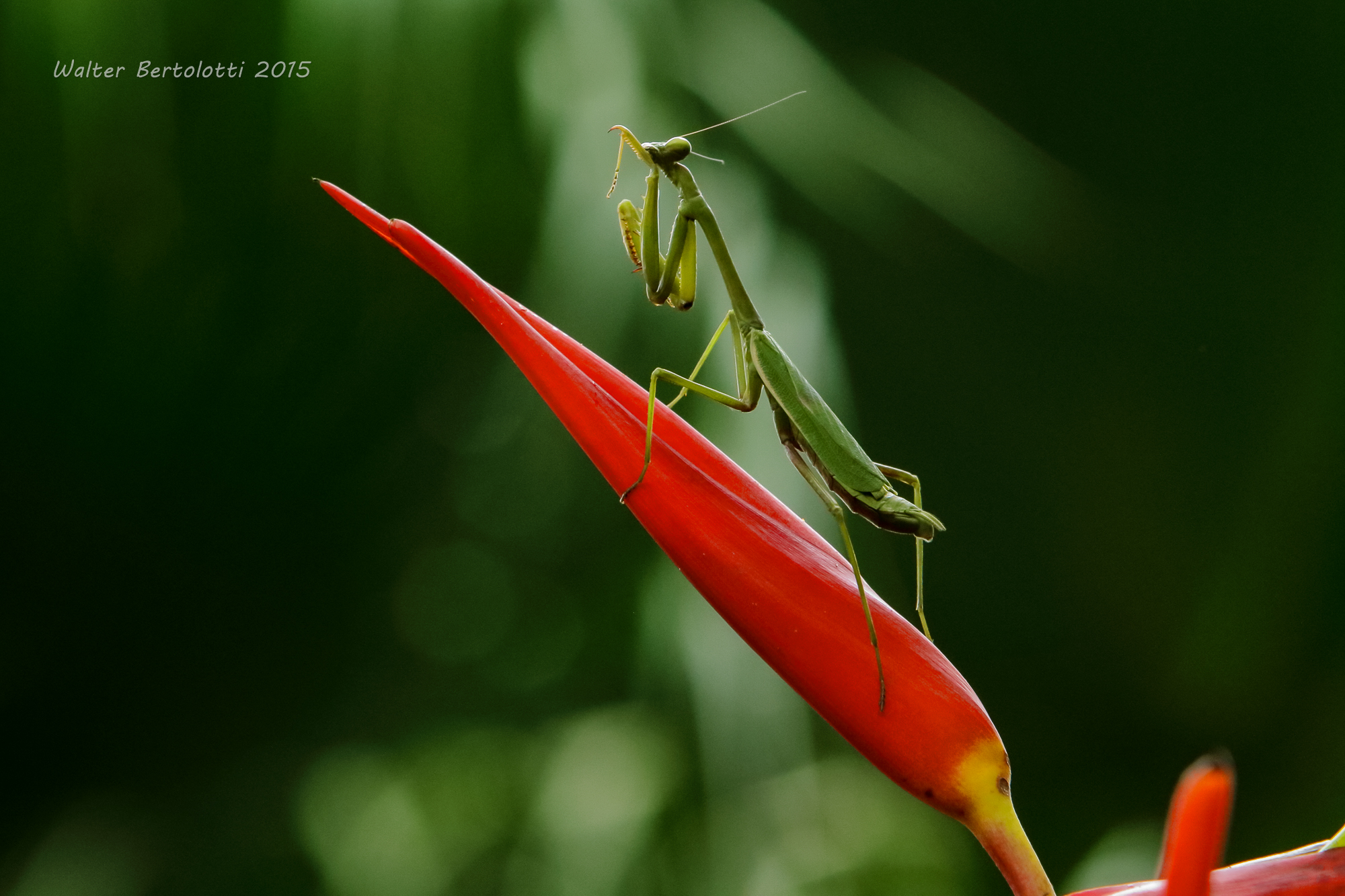 sssh...Por favor, silencio