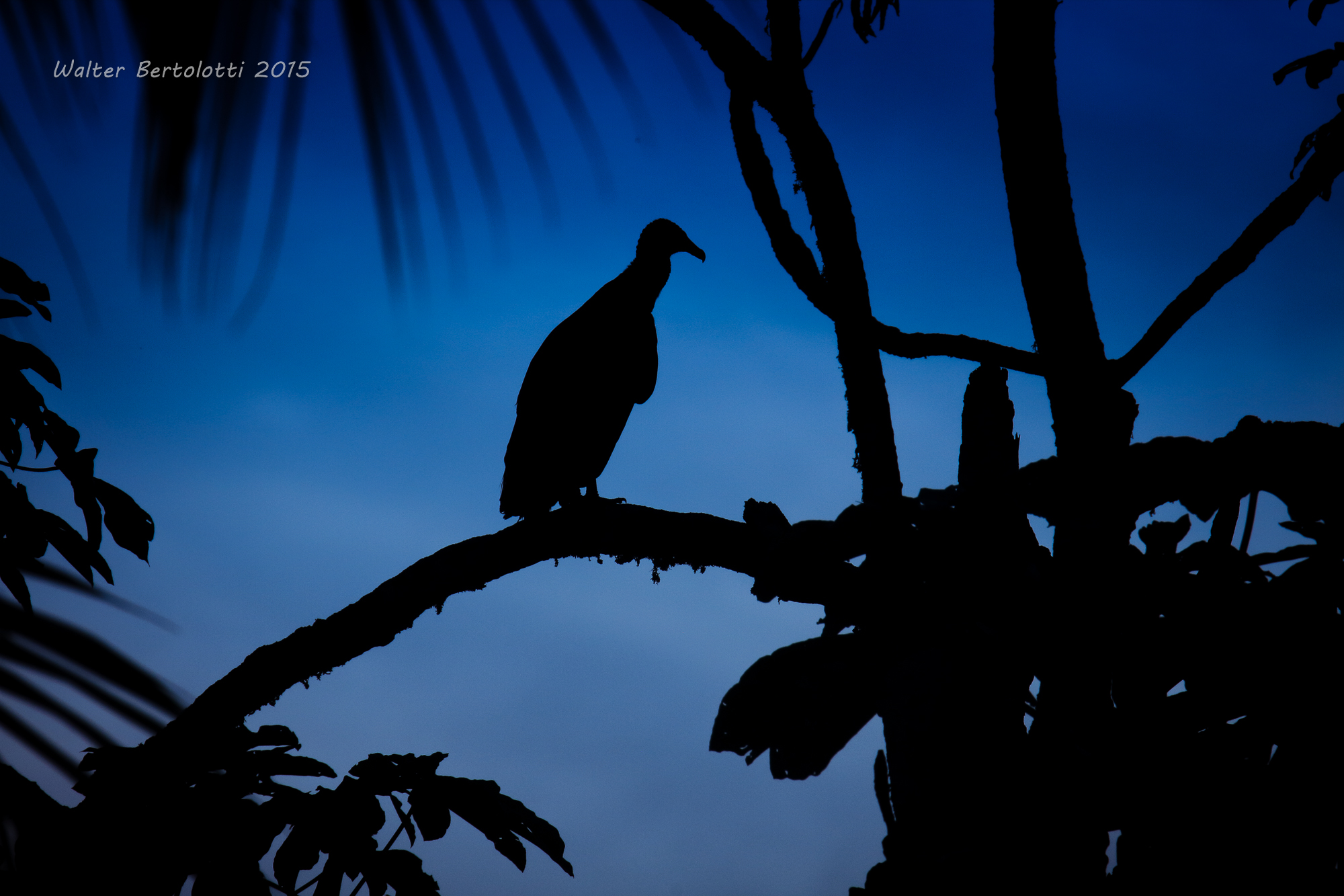 ends the day, I feel tomorrow!