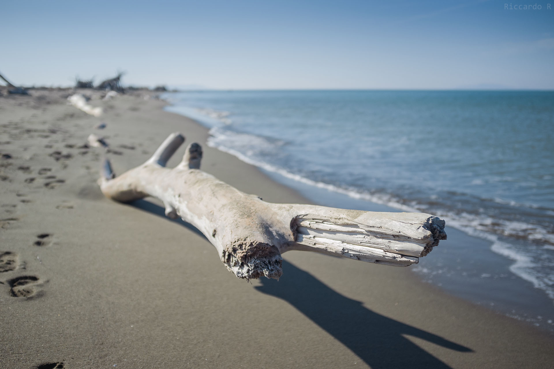 Spiaggia maremmana