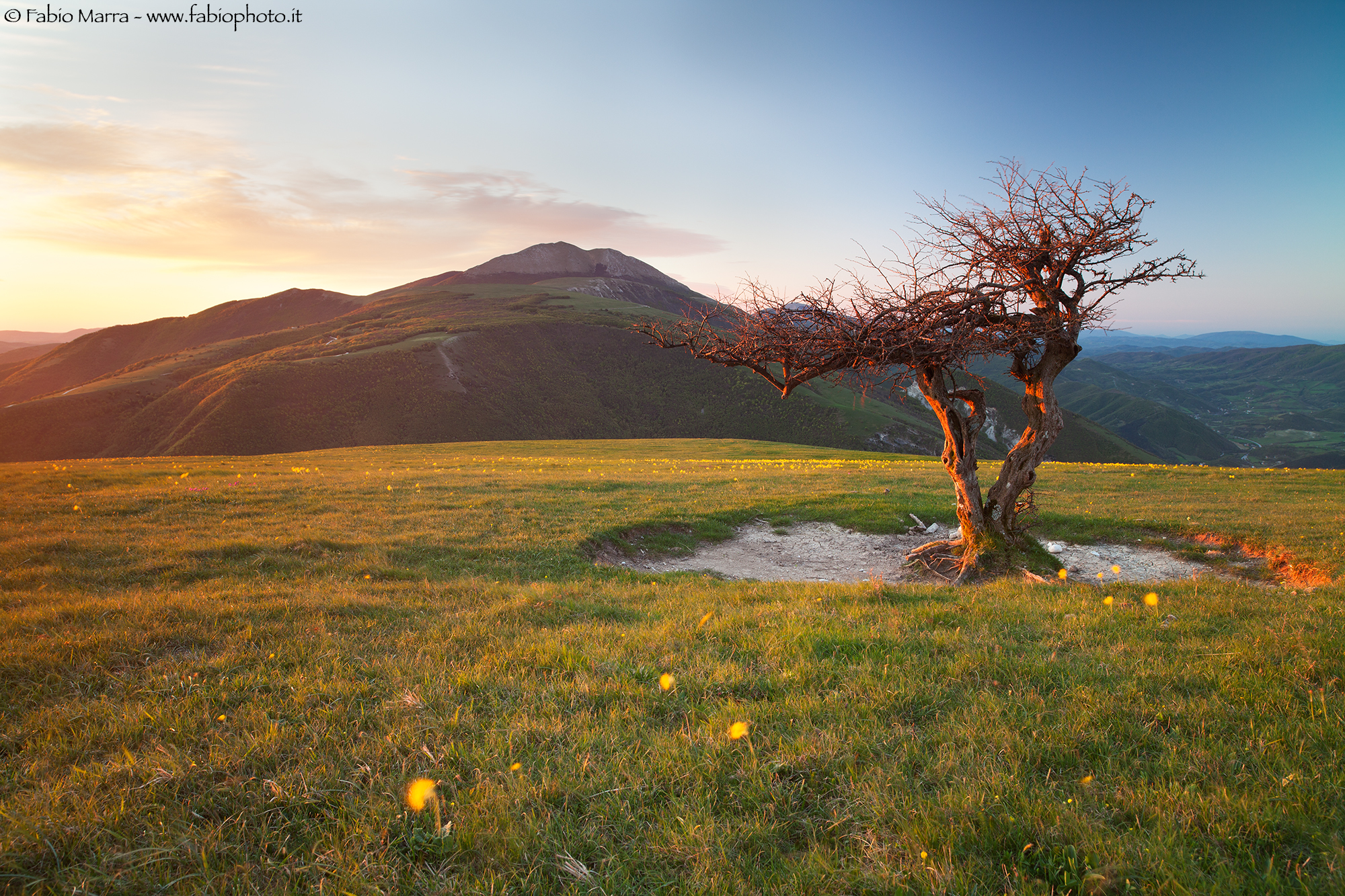 between light and wind