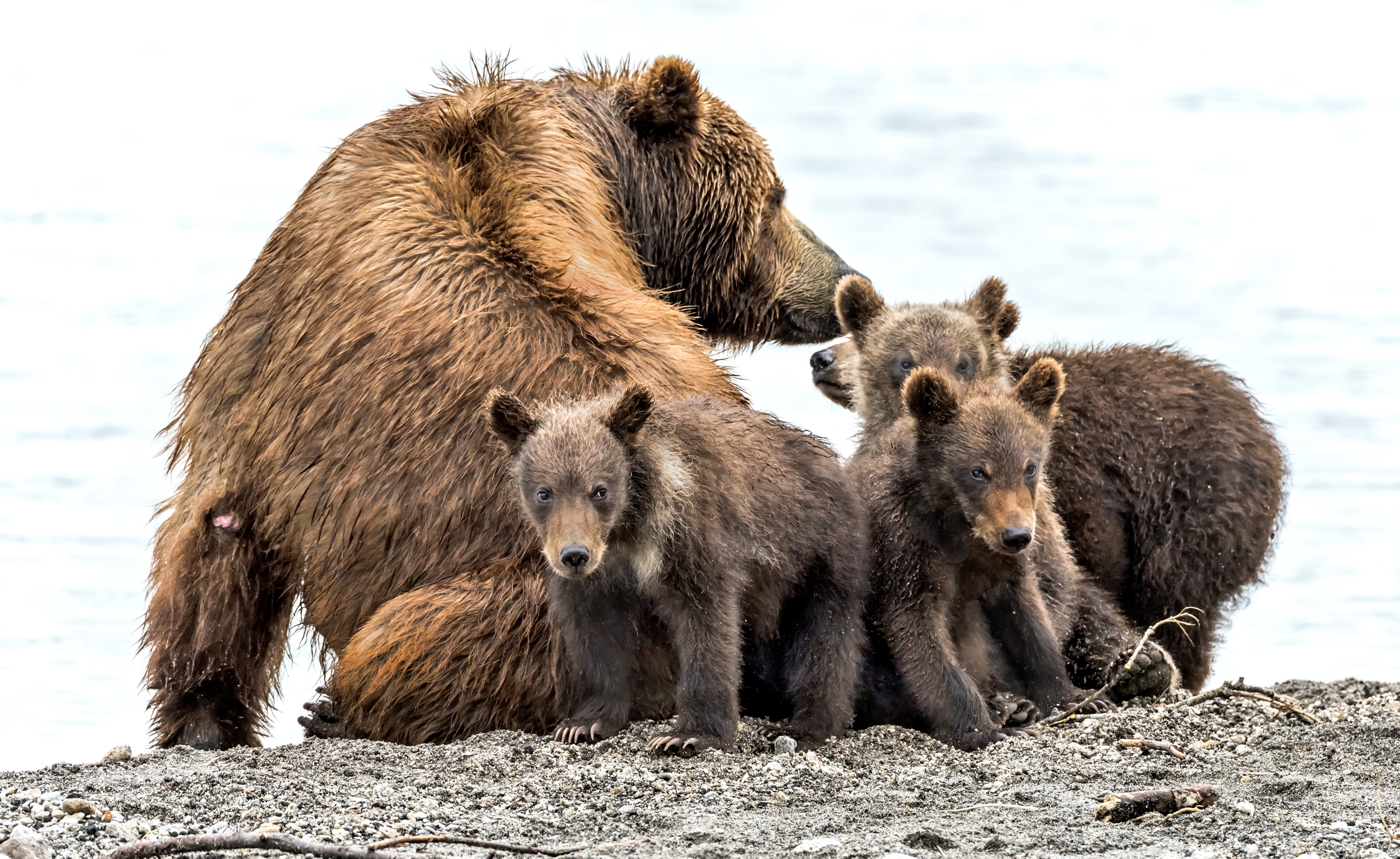 Kamchatka 2016 - Sulla riva del lago