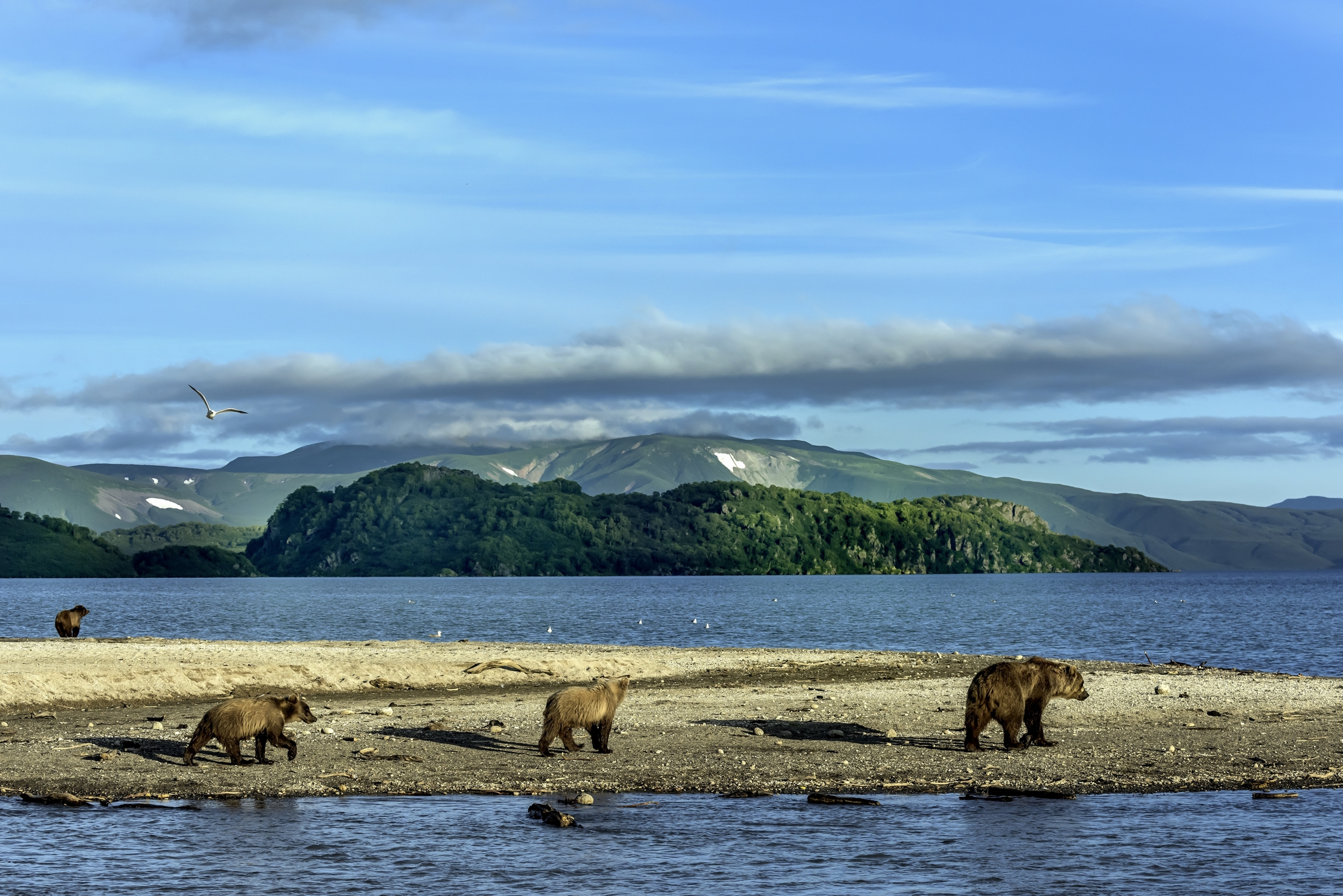 Kamchatka 2016 - Kurile lake
