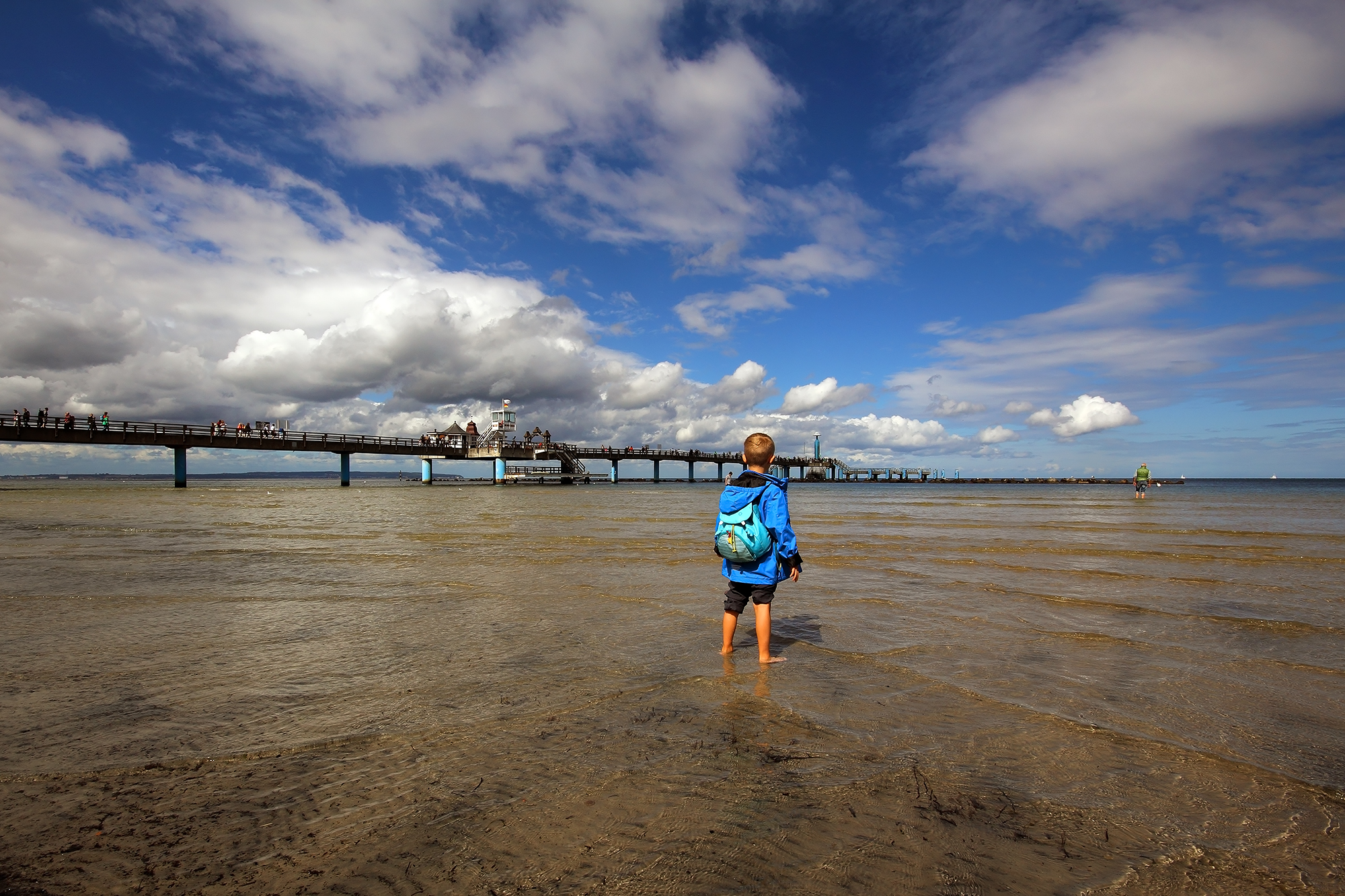 Sellin -Baltic sea life