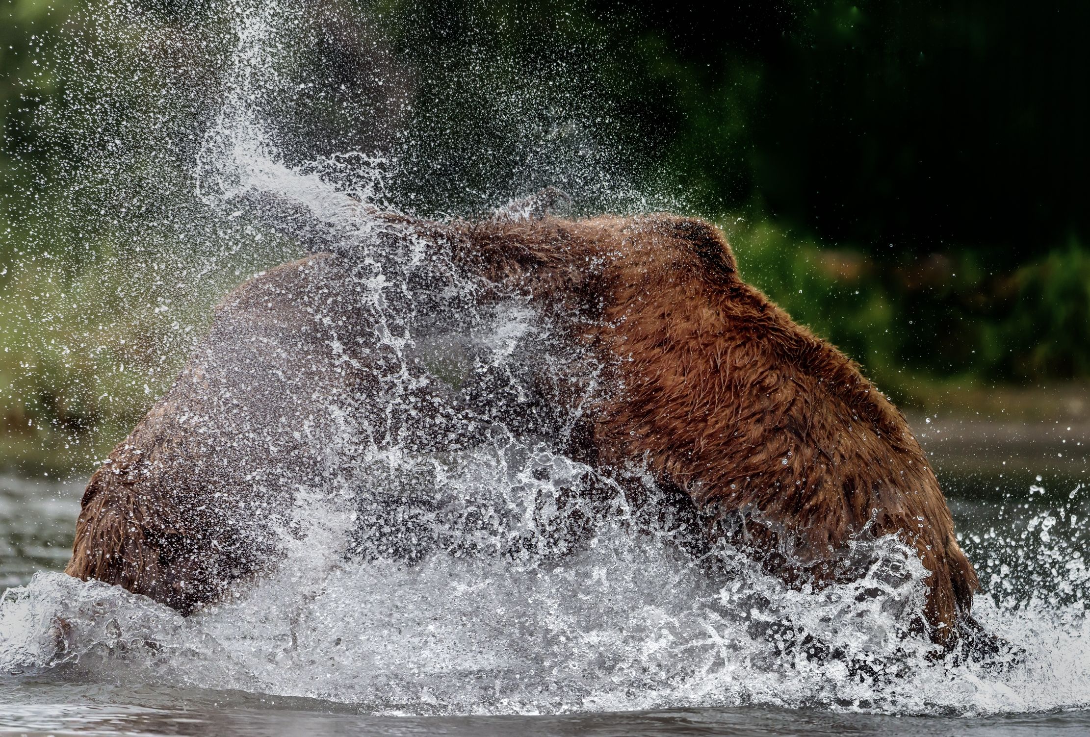 Kamchatka 2016 - Giochi d'acqua