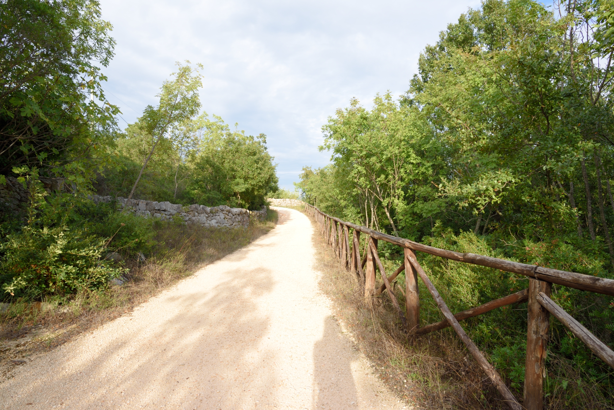 my daily walk through the magical trails