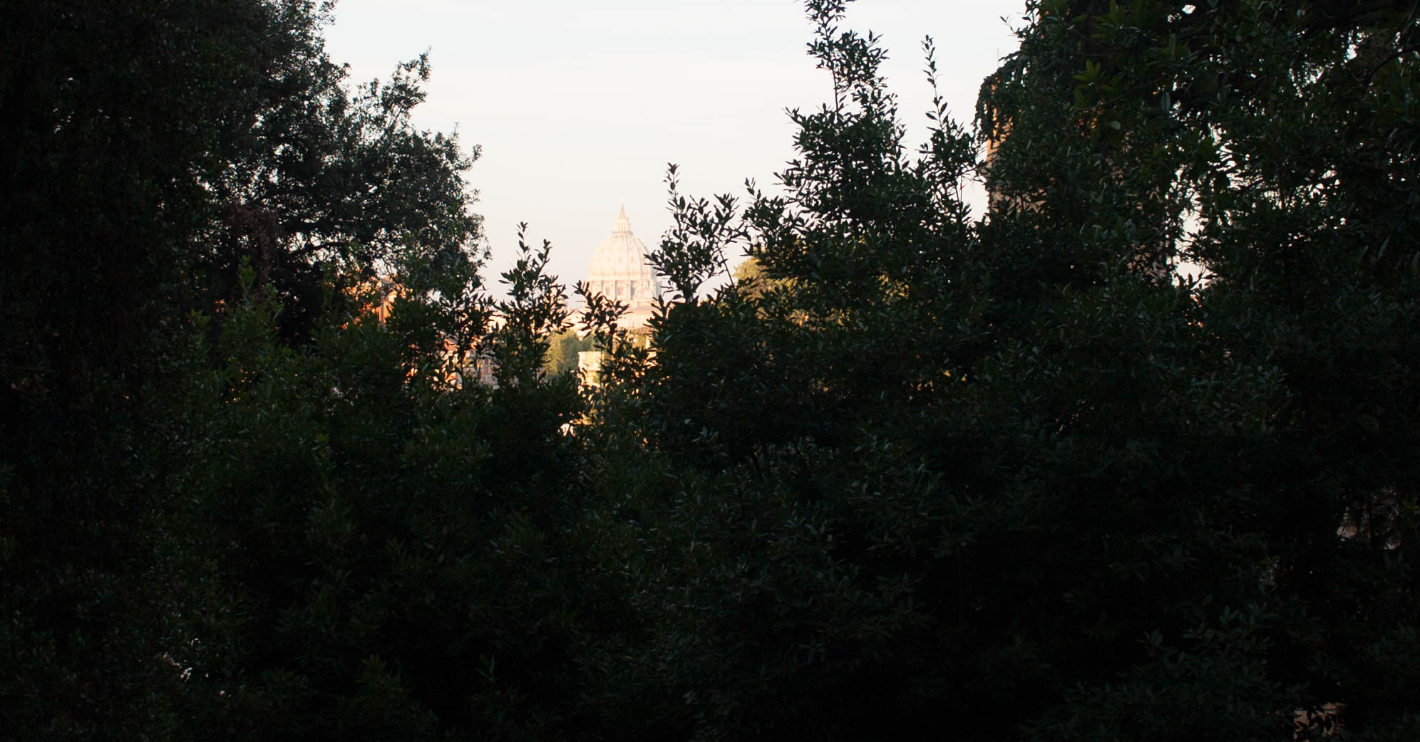 san pietro tra gli alberi