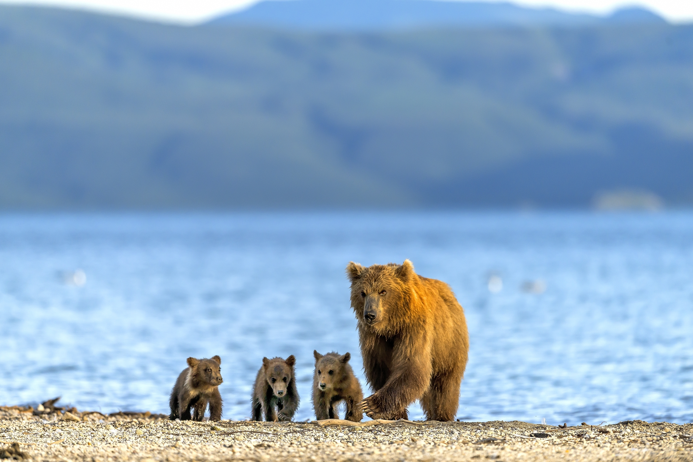 Kamchatka 2016 - Sul  Kurile lake