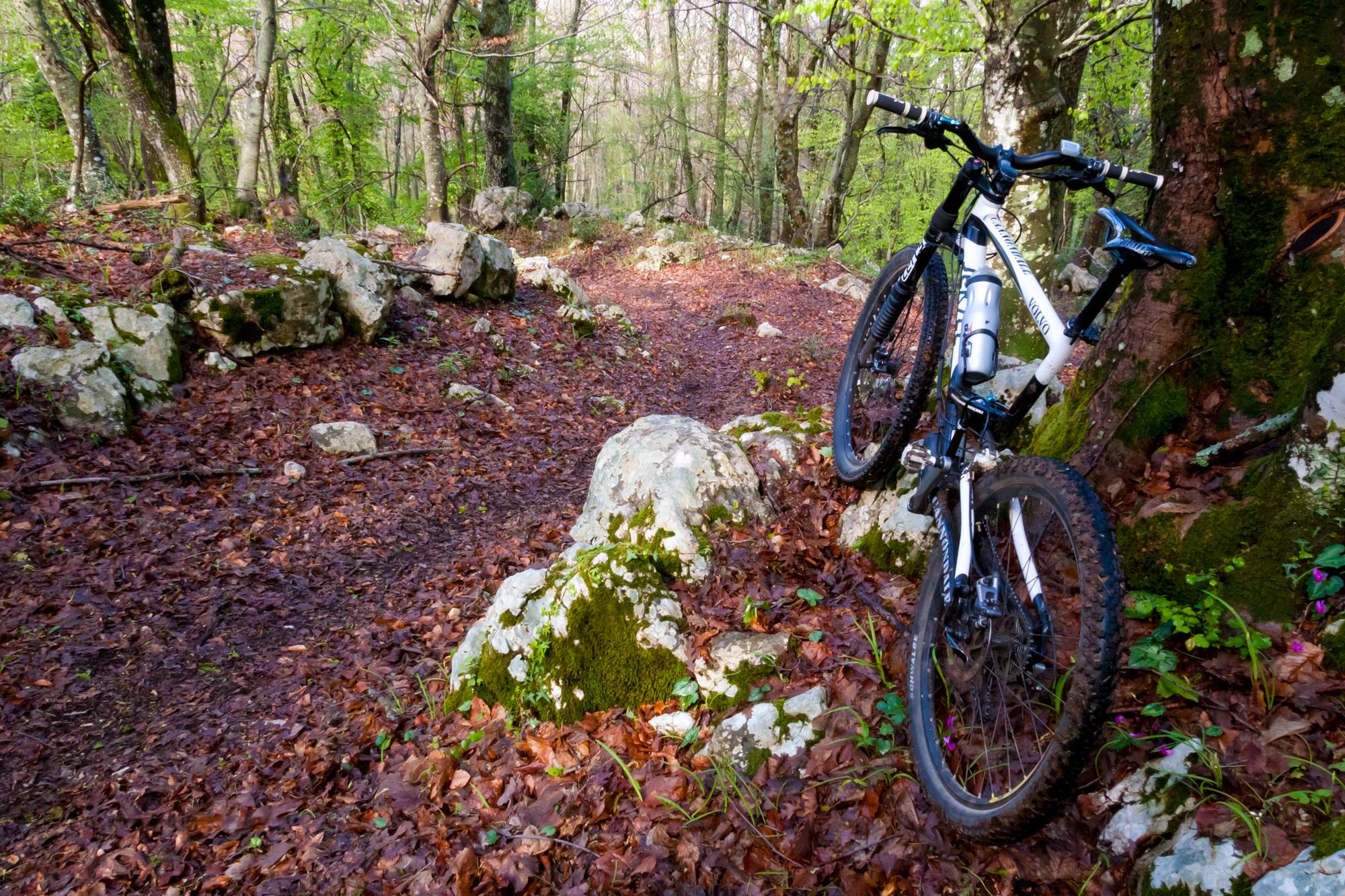 Pronti per la discesa