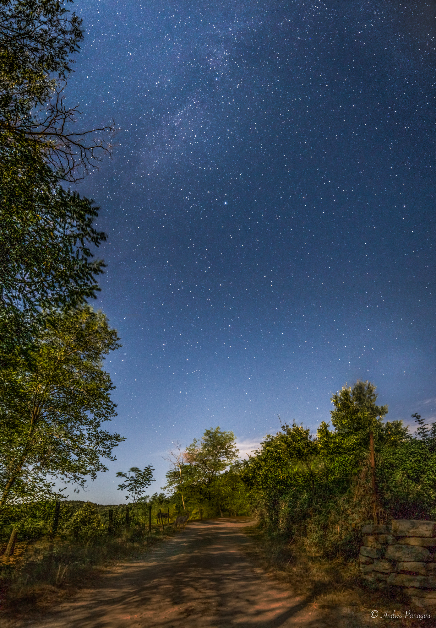 of stars natural reserve