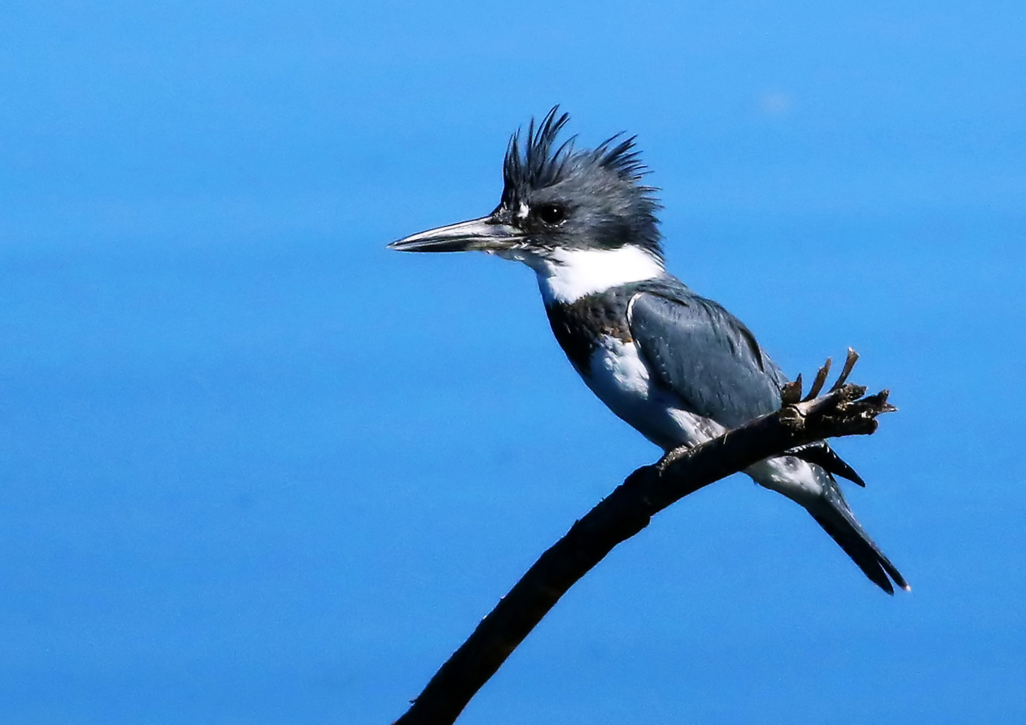 Nell'occhio del ciclone