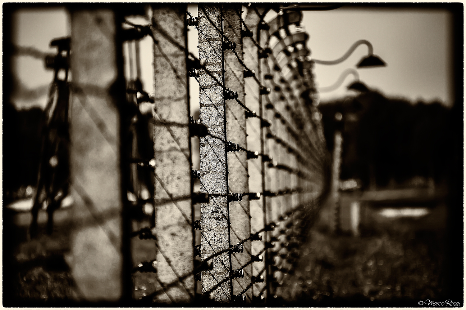Birkenau crosslinked