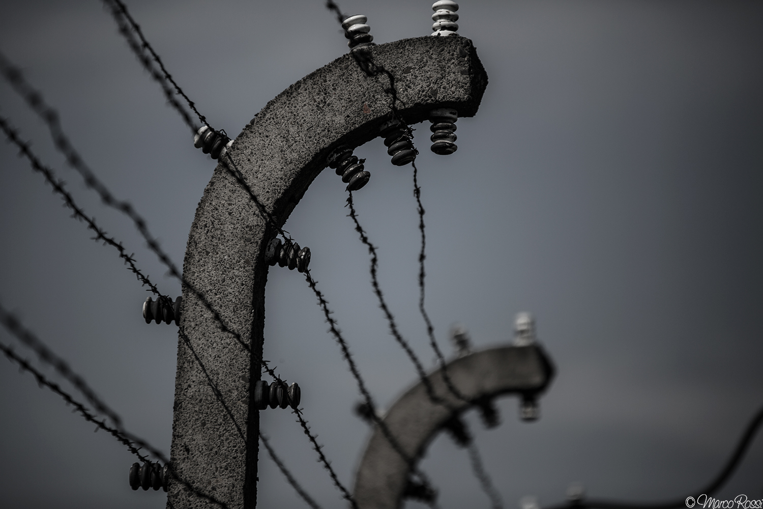 Birkenau crosslinked