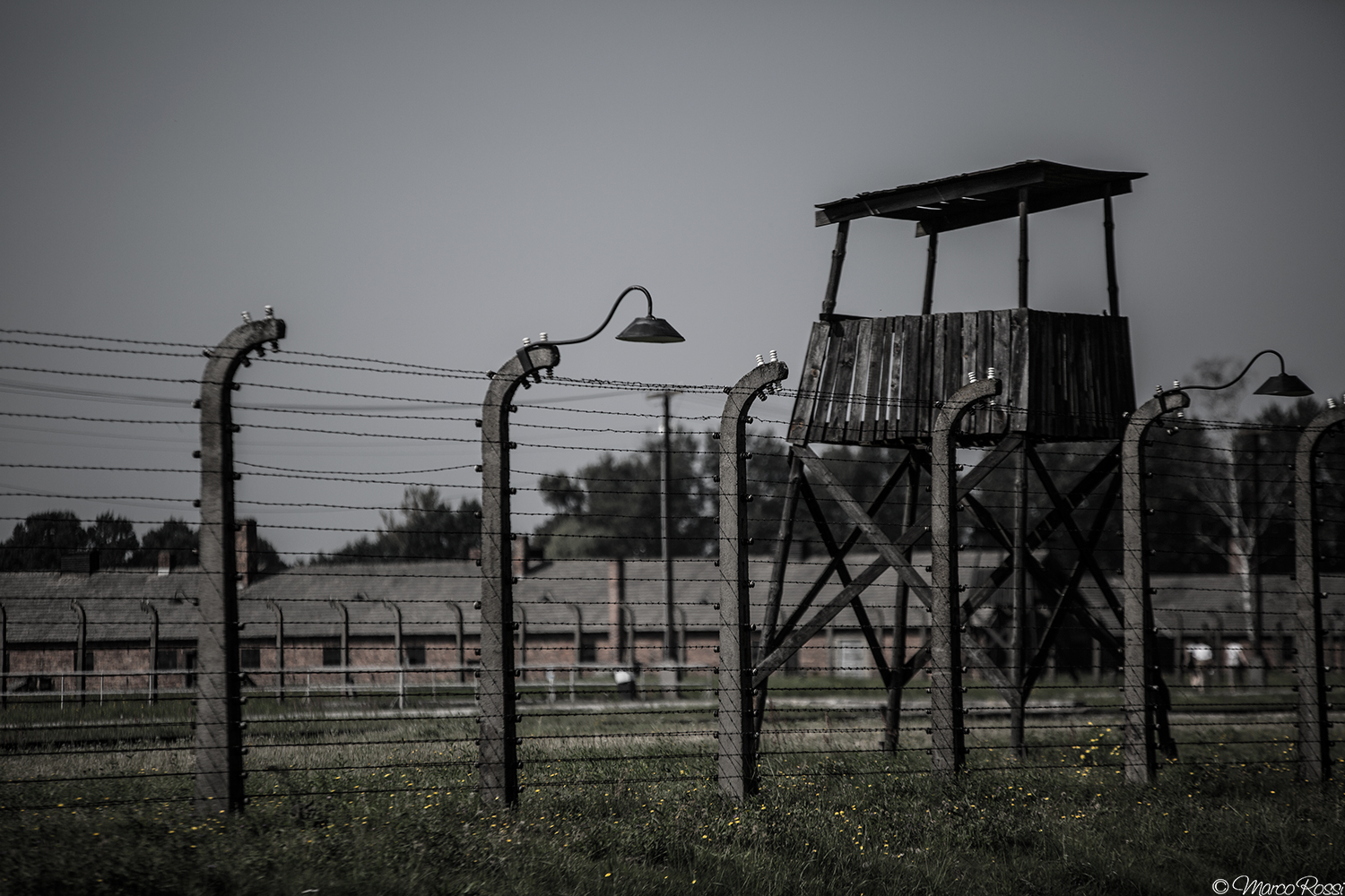 Birkenau
