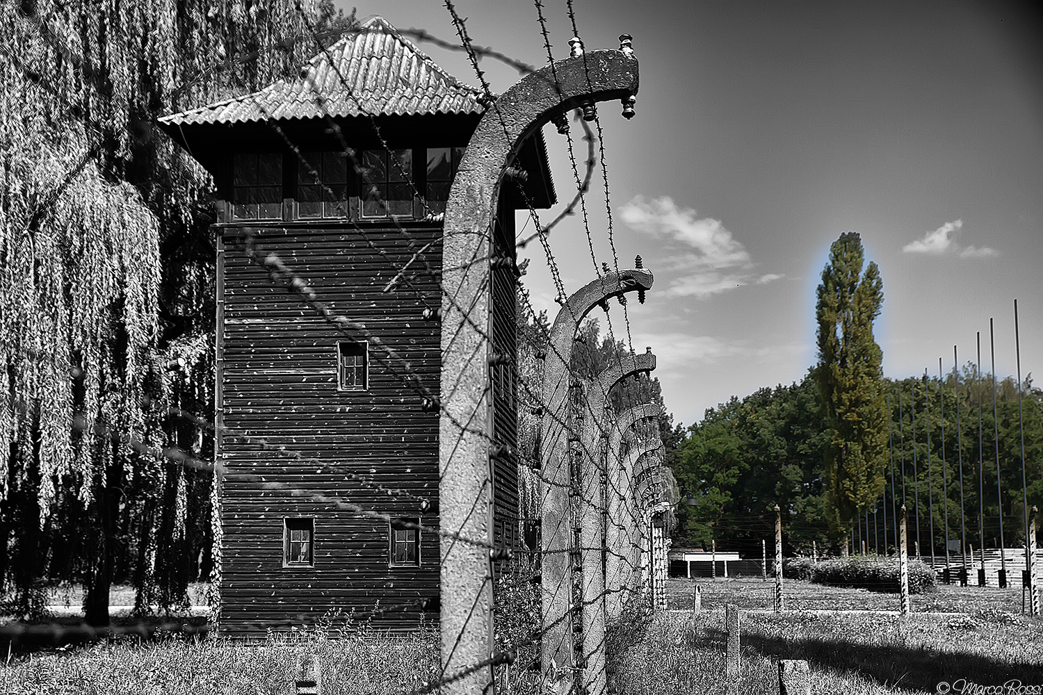 Birkenau