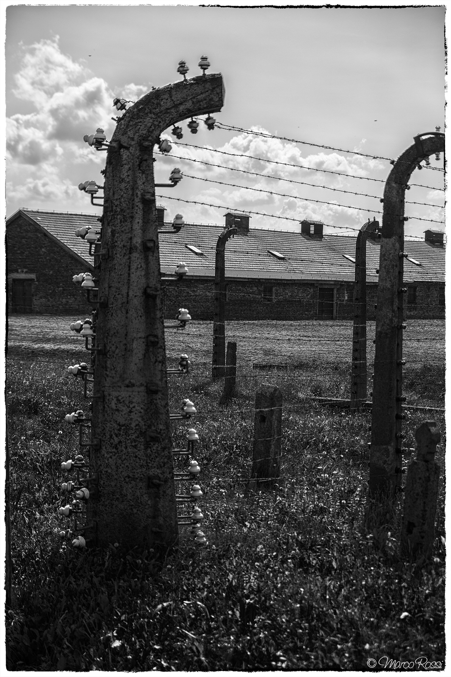 Birkenau